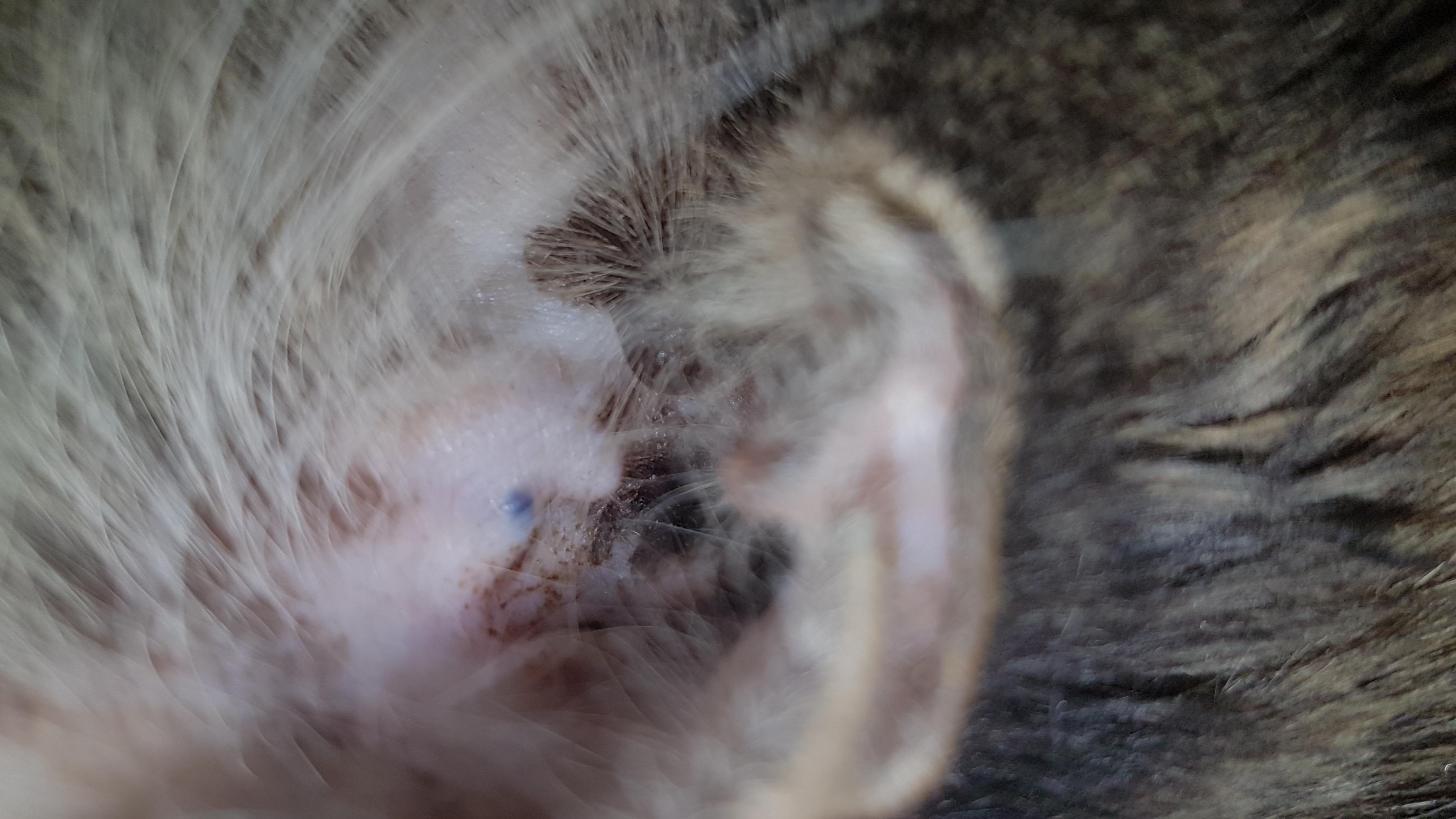 Question details sensitive content