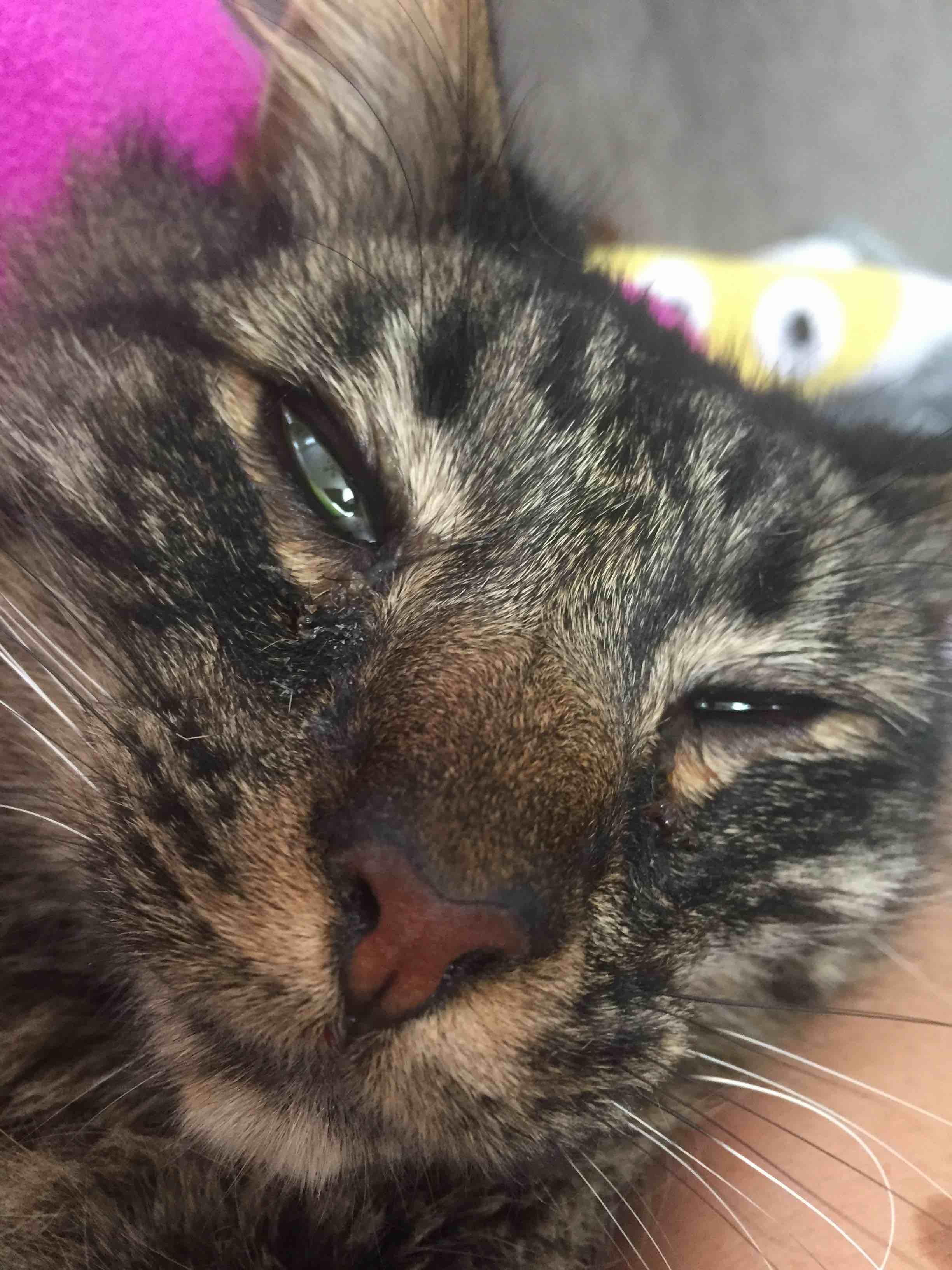 Question details sensitive content