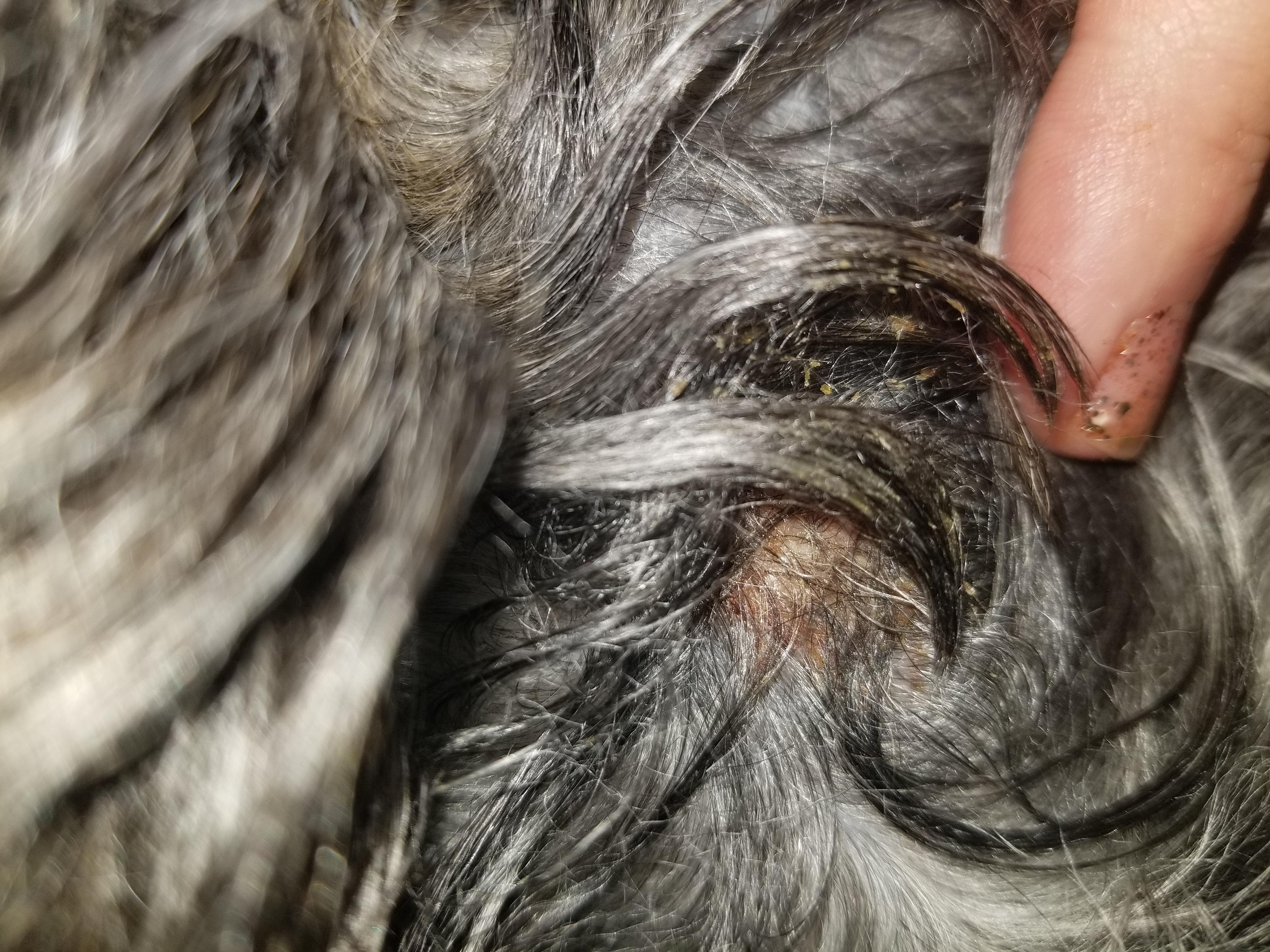 Question details sensitive content