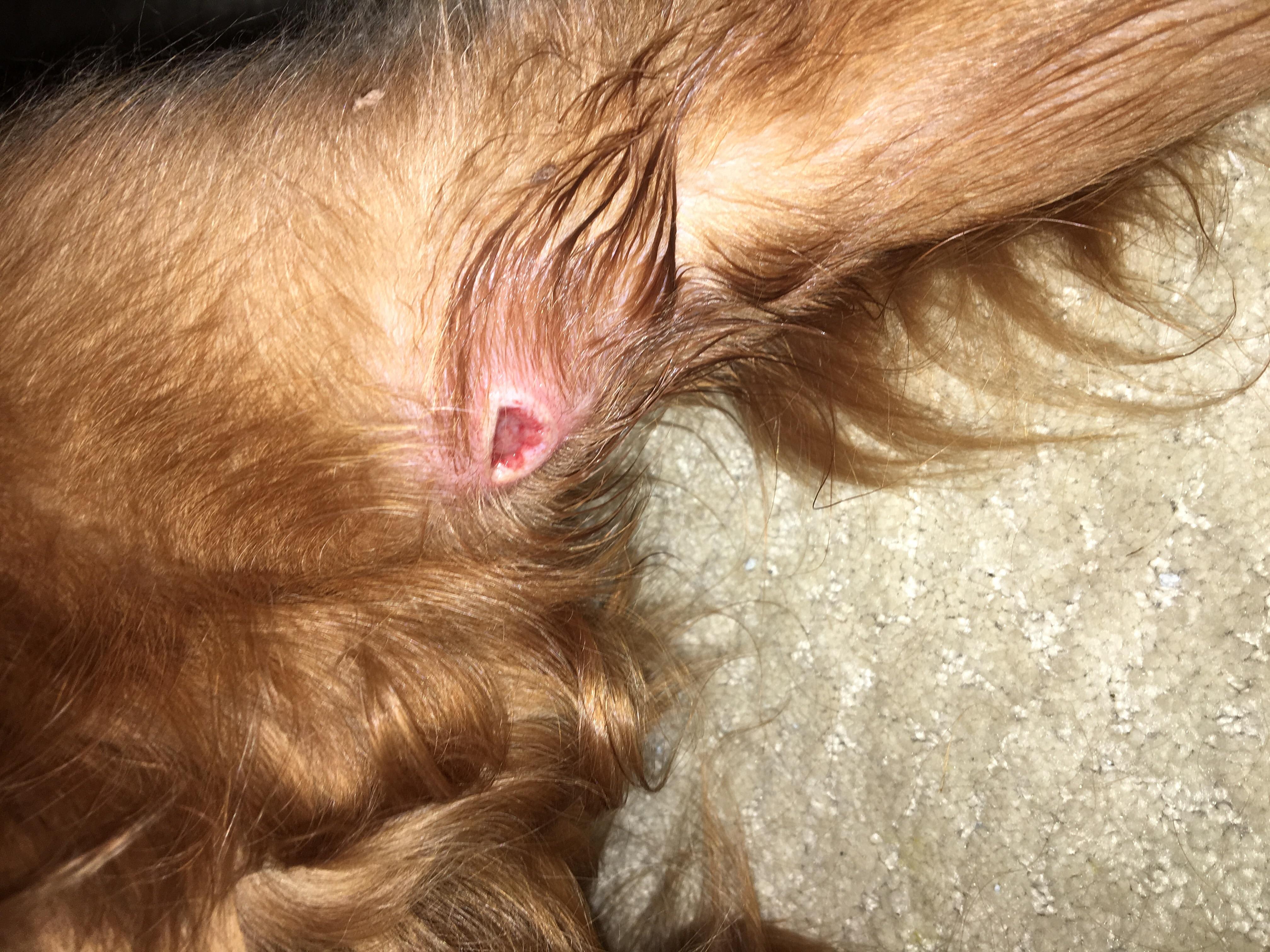 Question details sensitive content