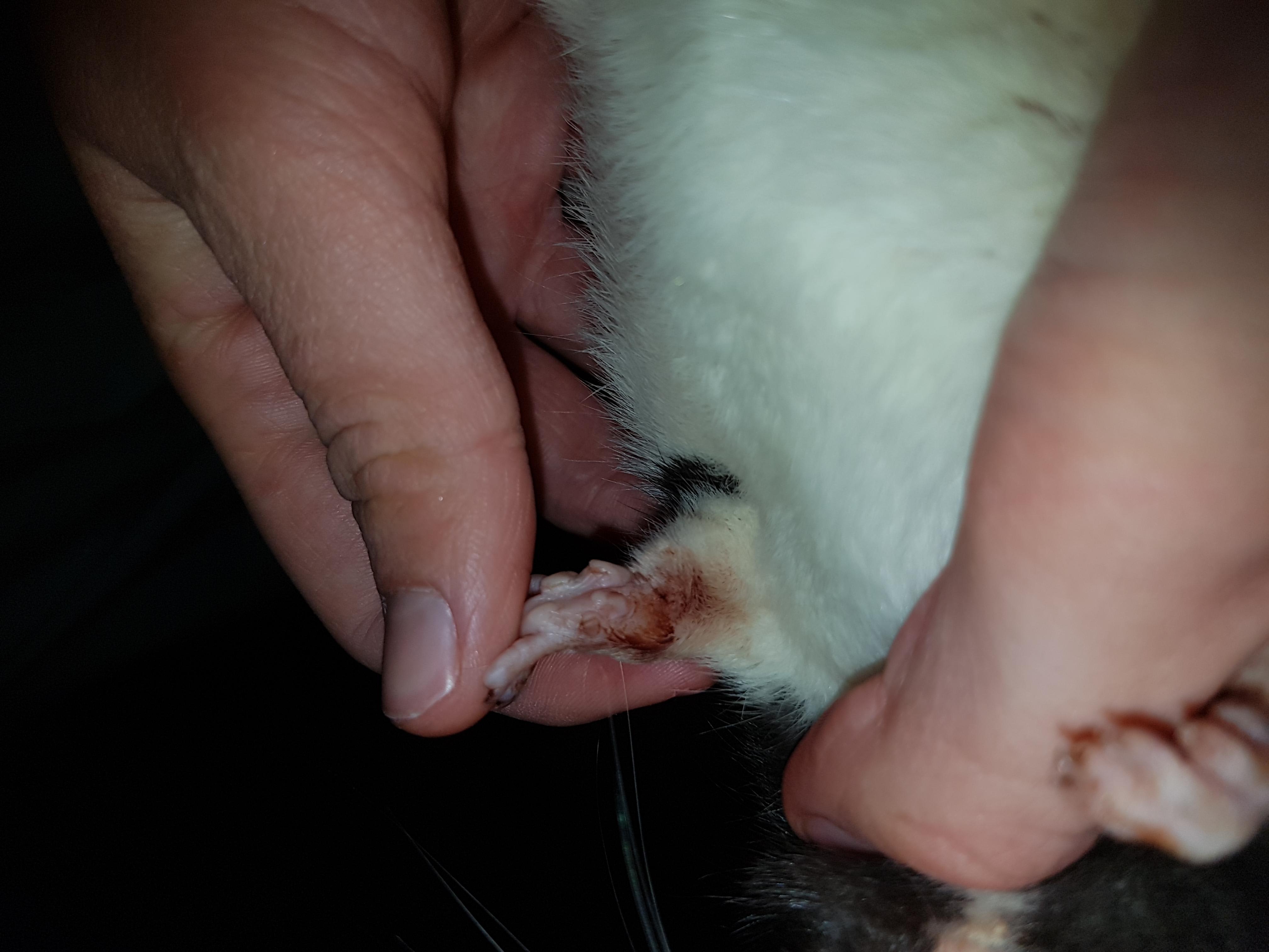 Question details sensitive content