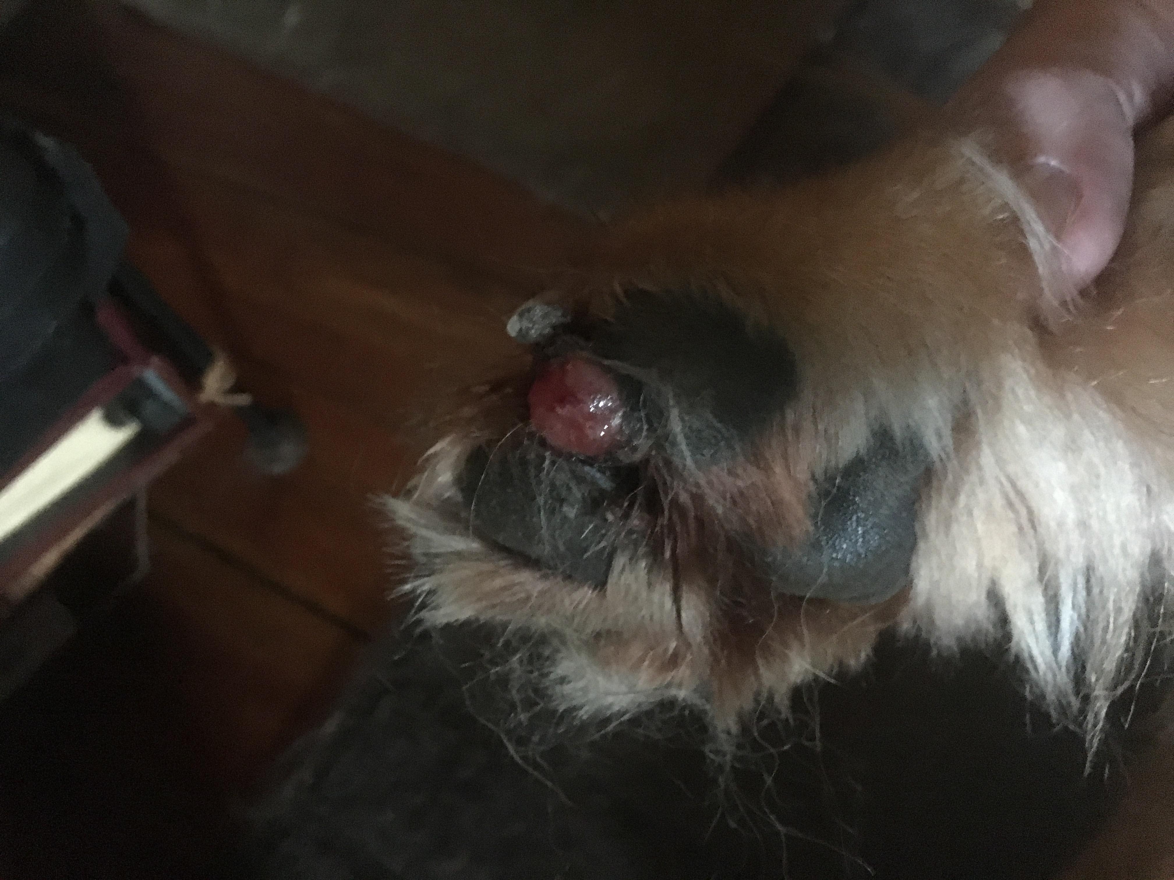 Question details sensitive content