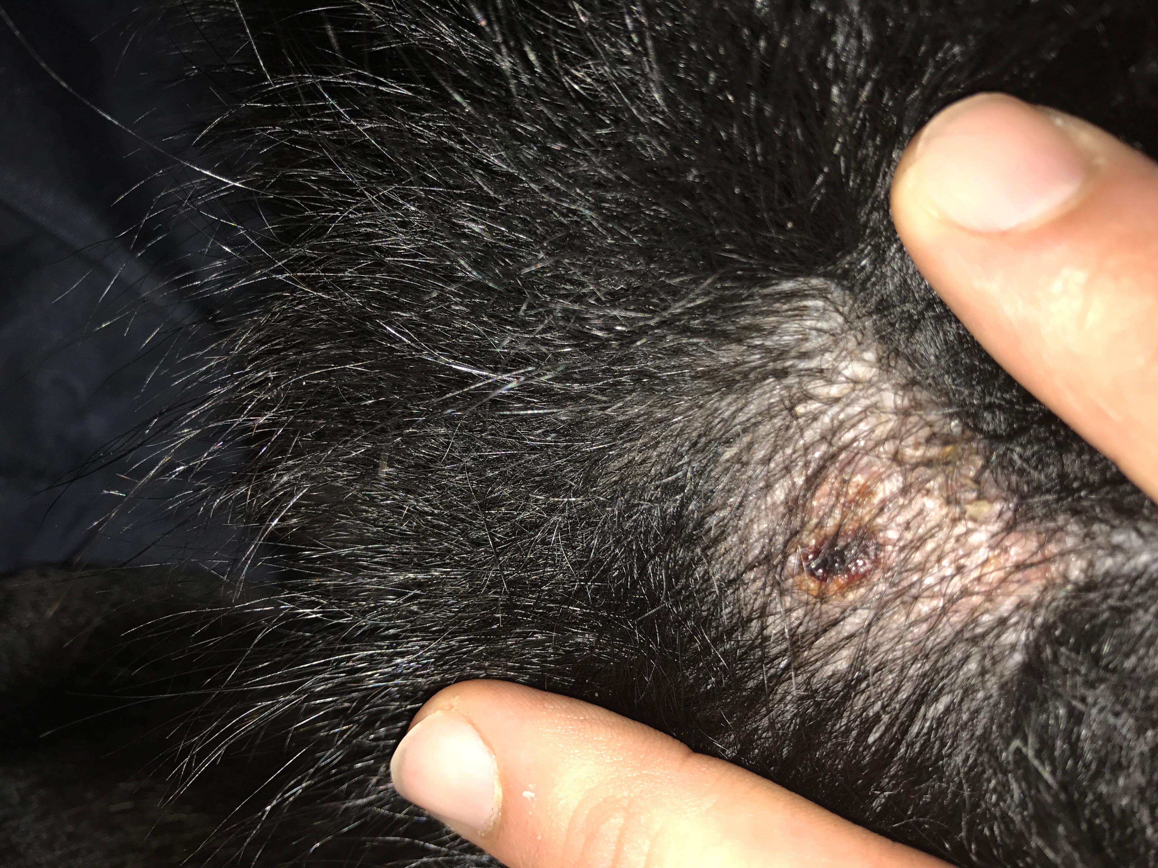 Question details sensitive content