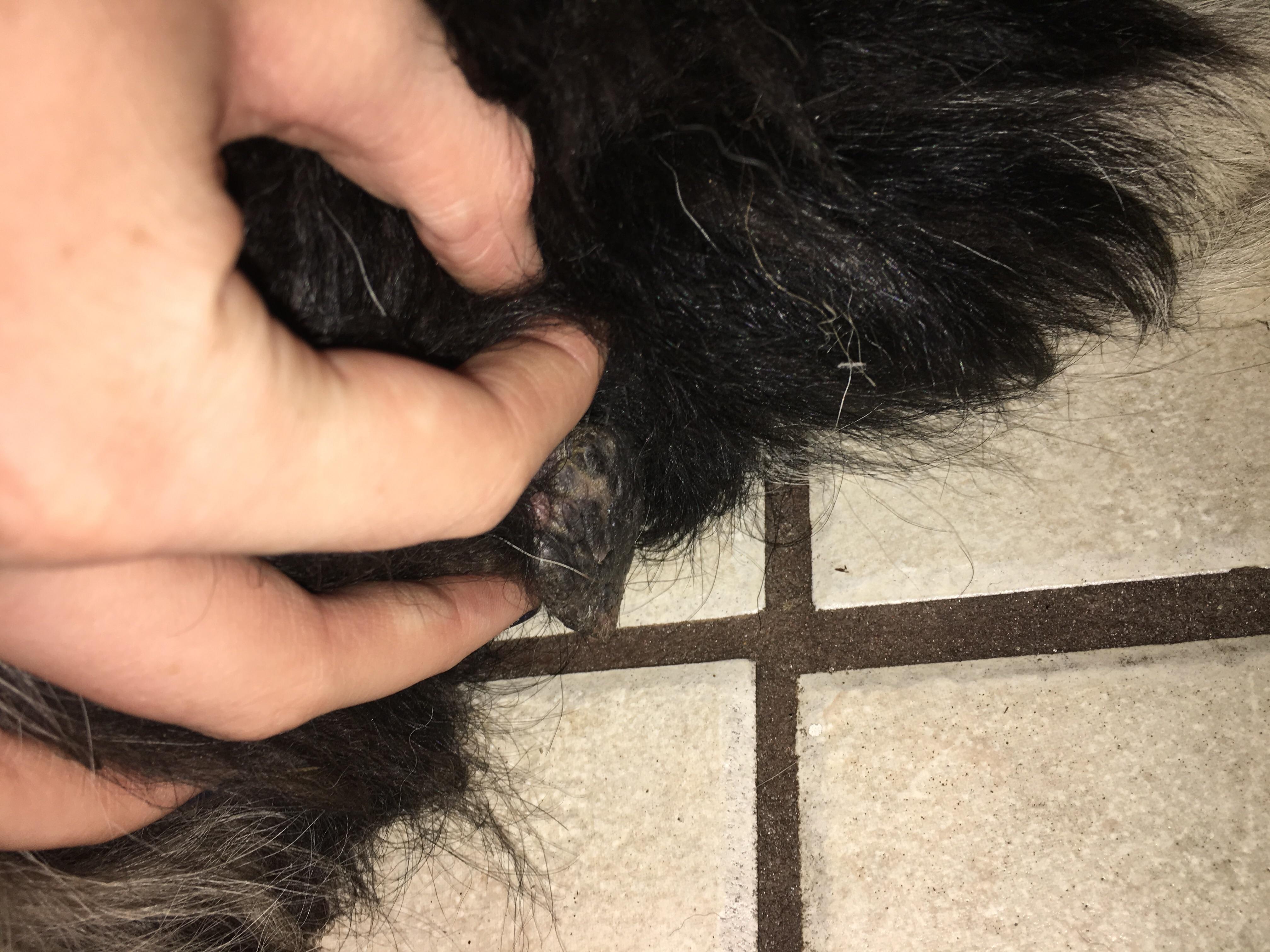 Question details sensitive content