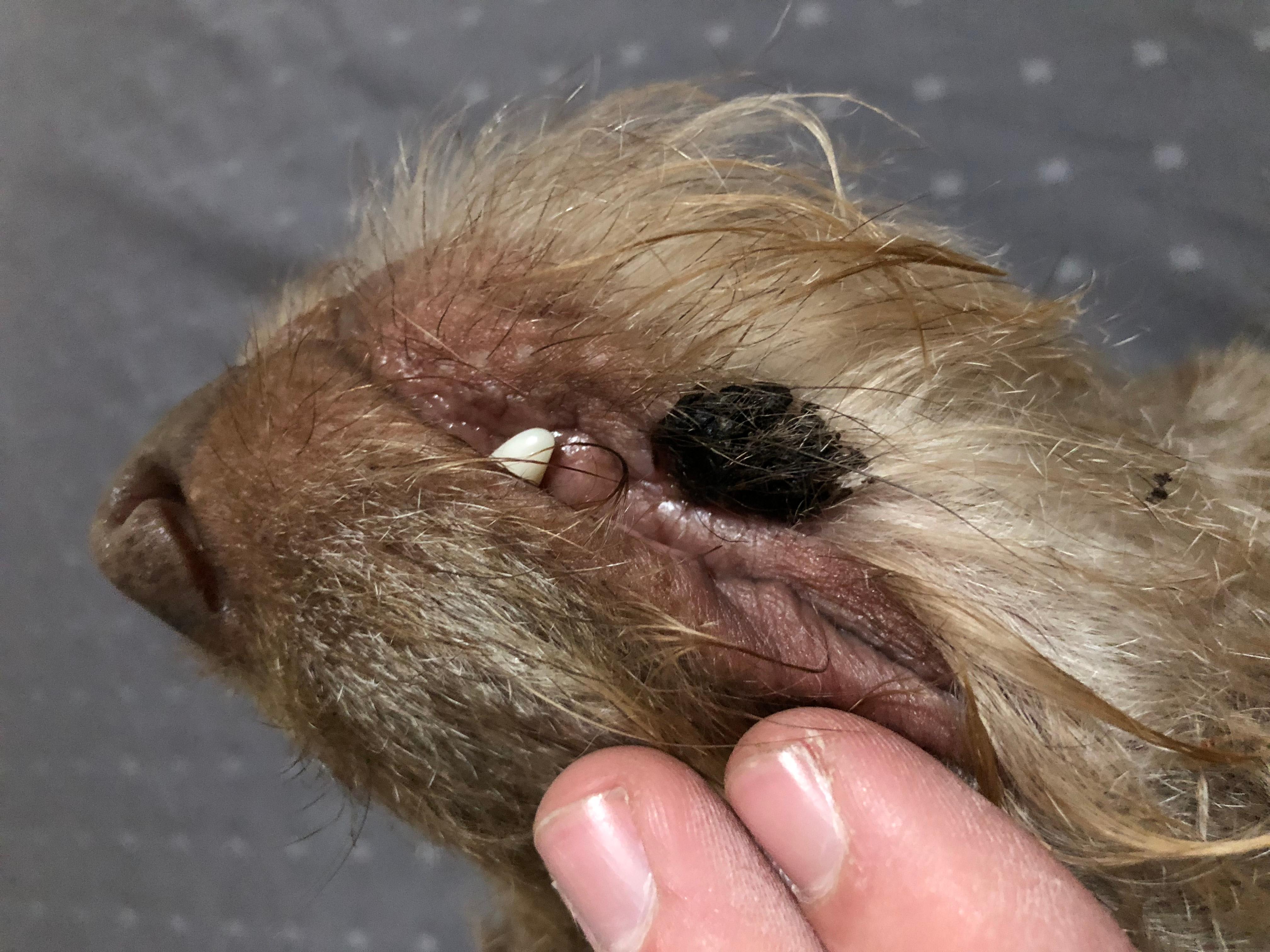 Question details sensitive content