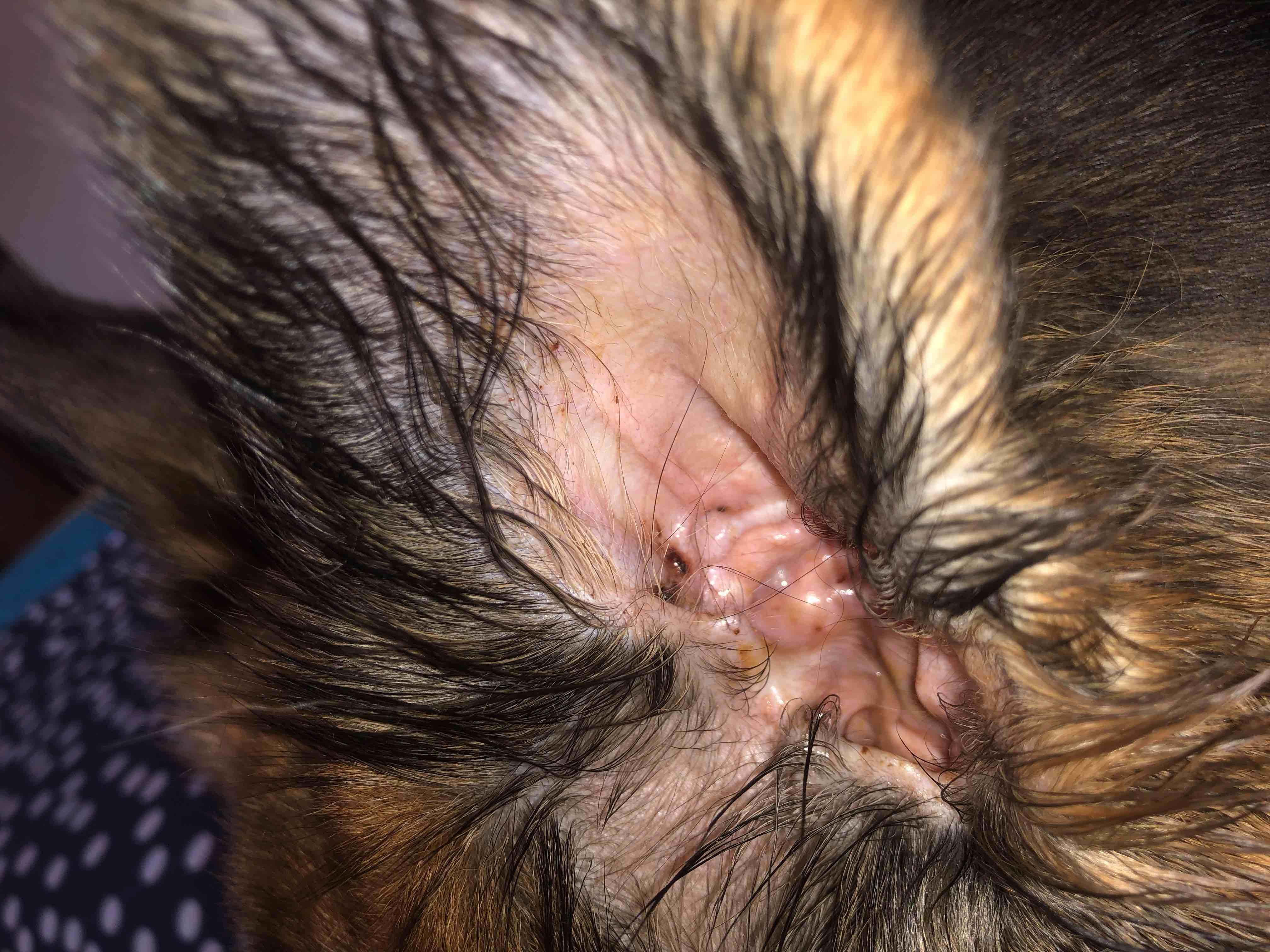 Question details sensitive content