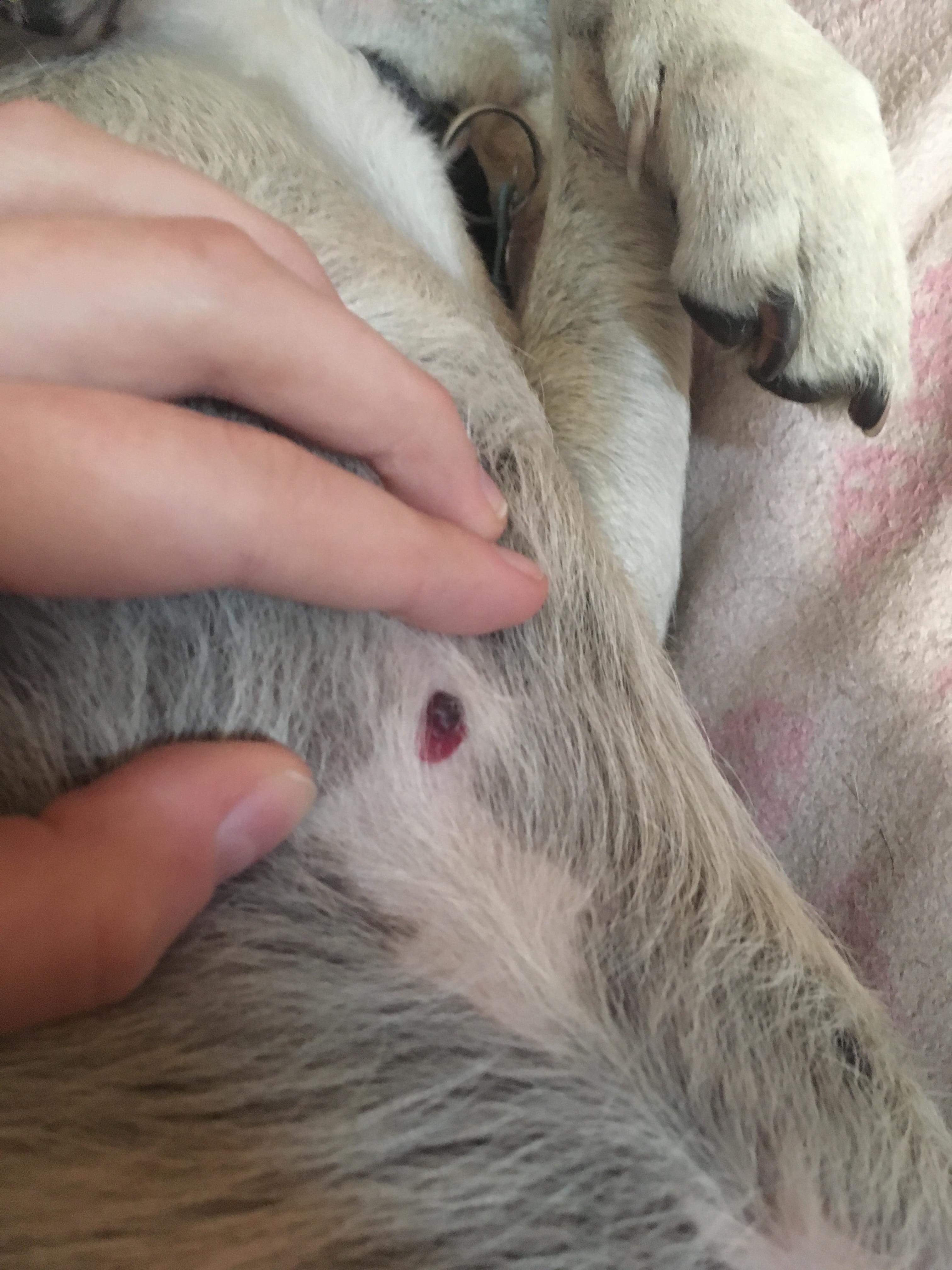 Question details sensitive content