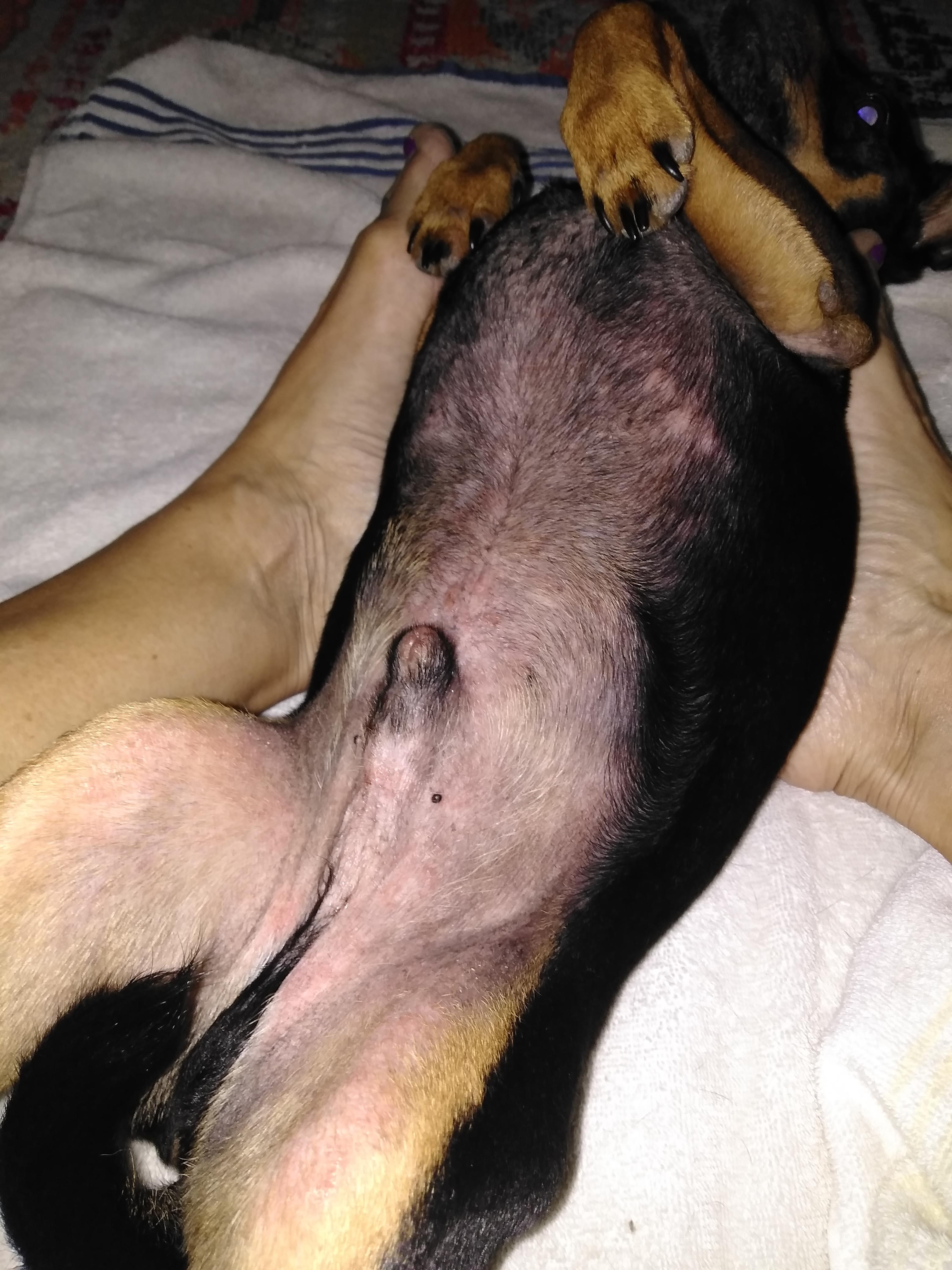 Question details sensitive content