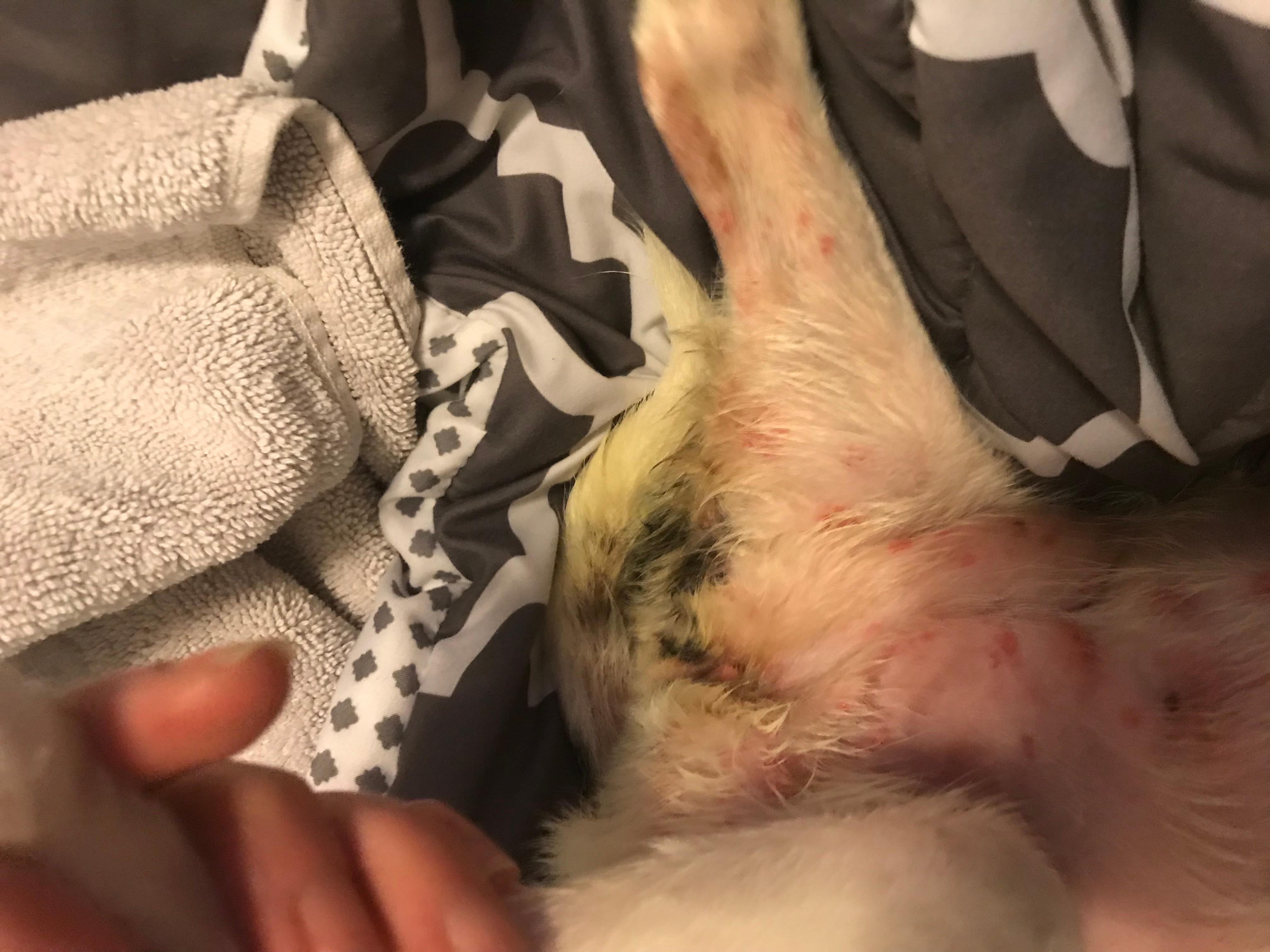 Question details sensitive content