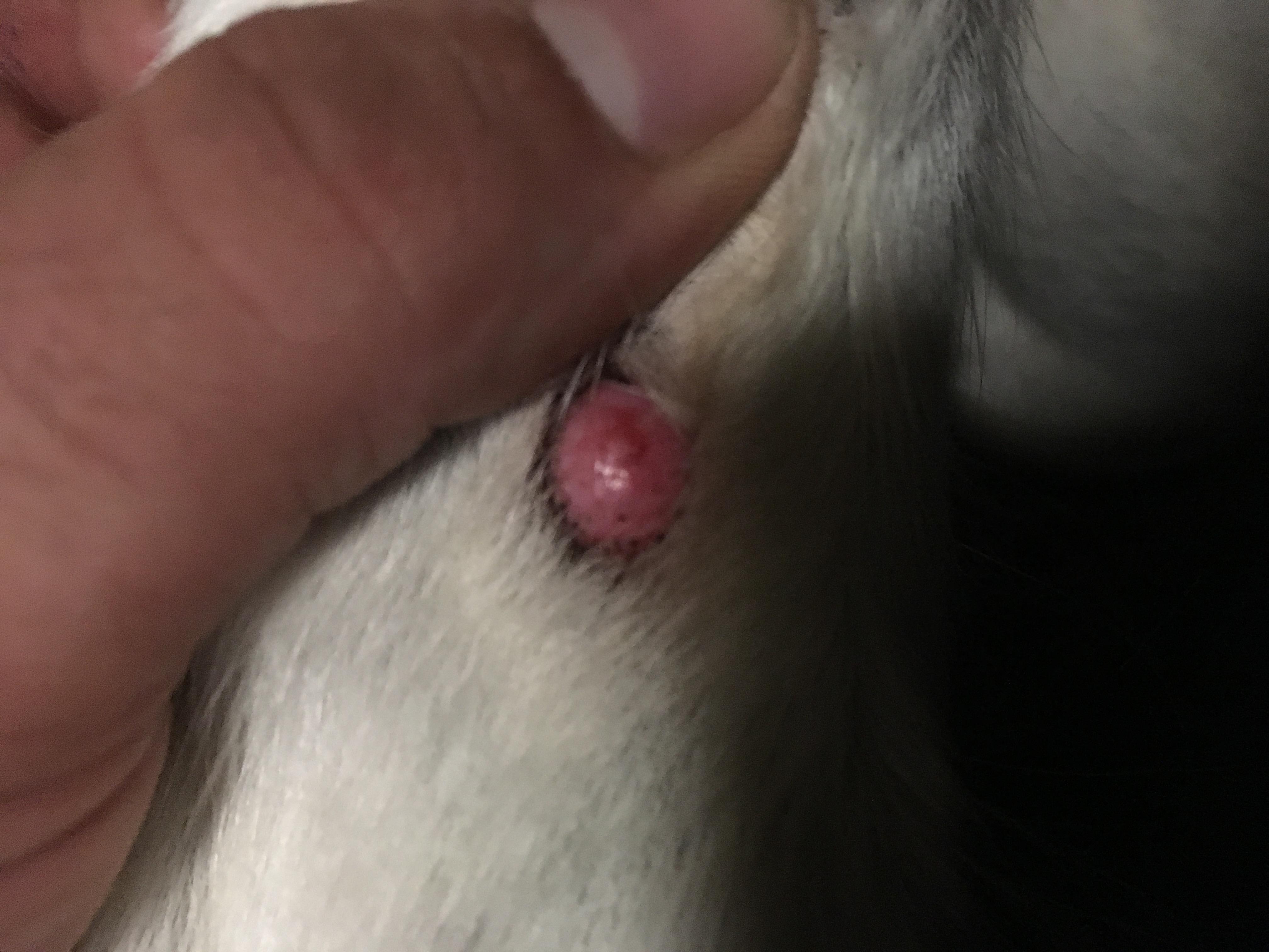 Question details sensitive content