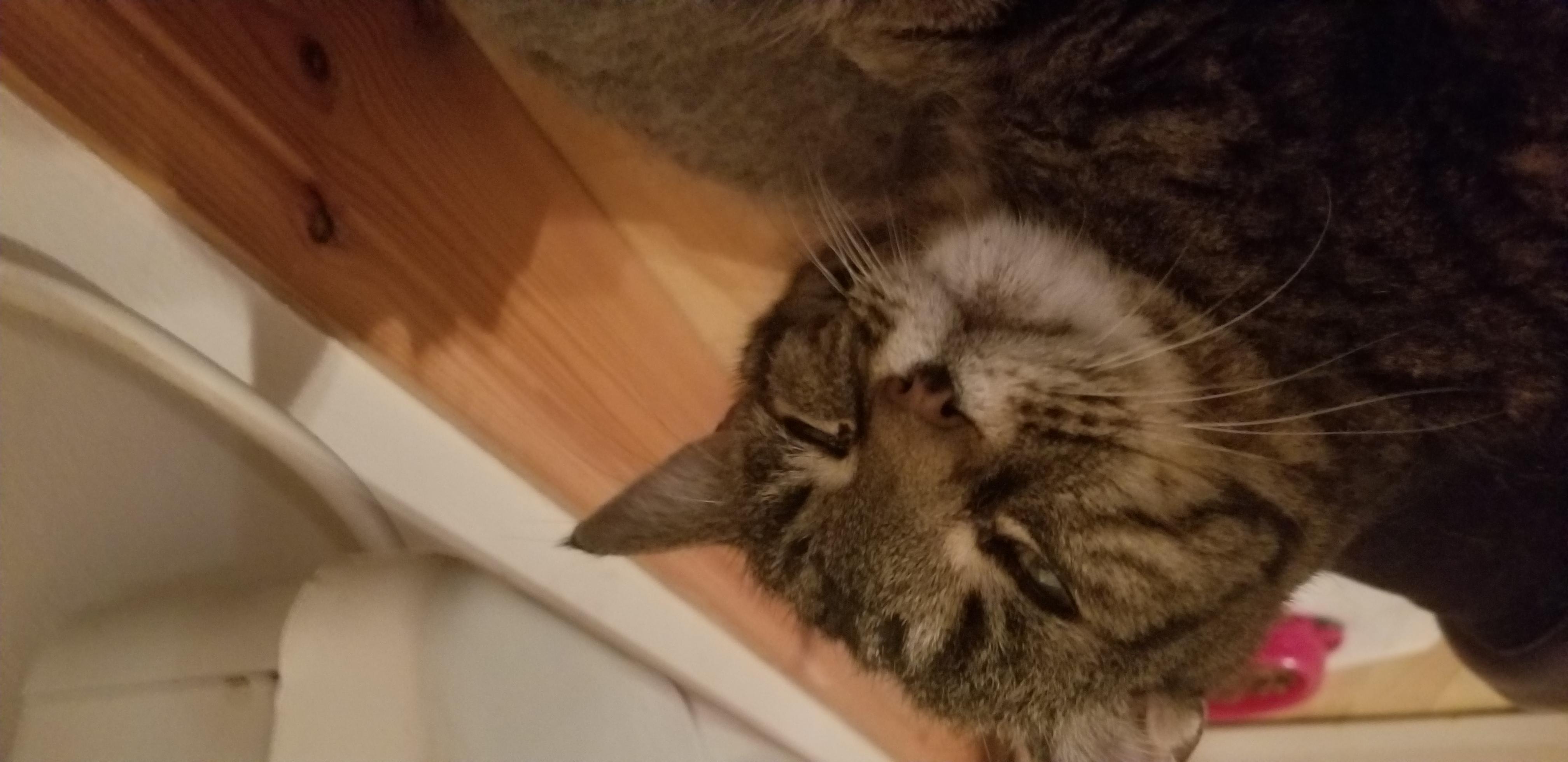 Question details sensitive content