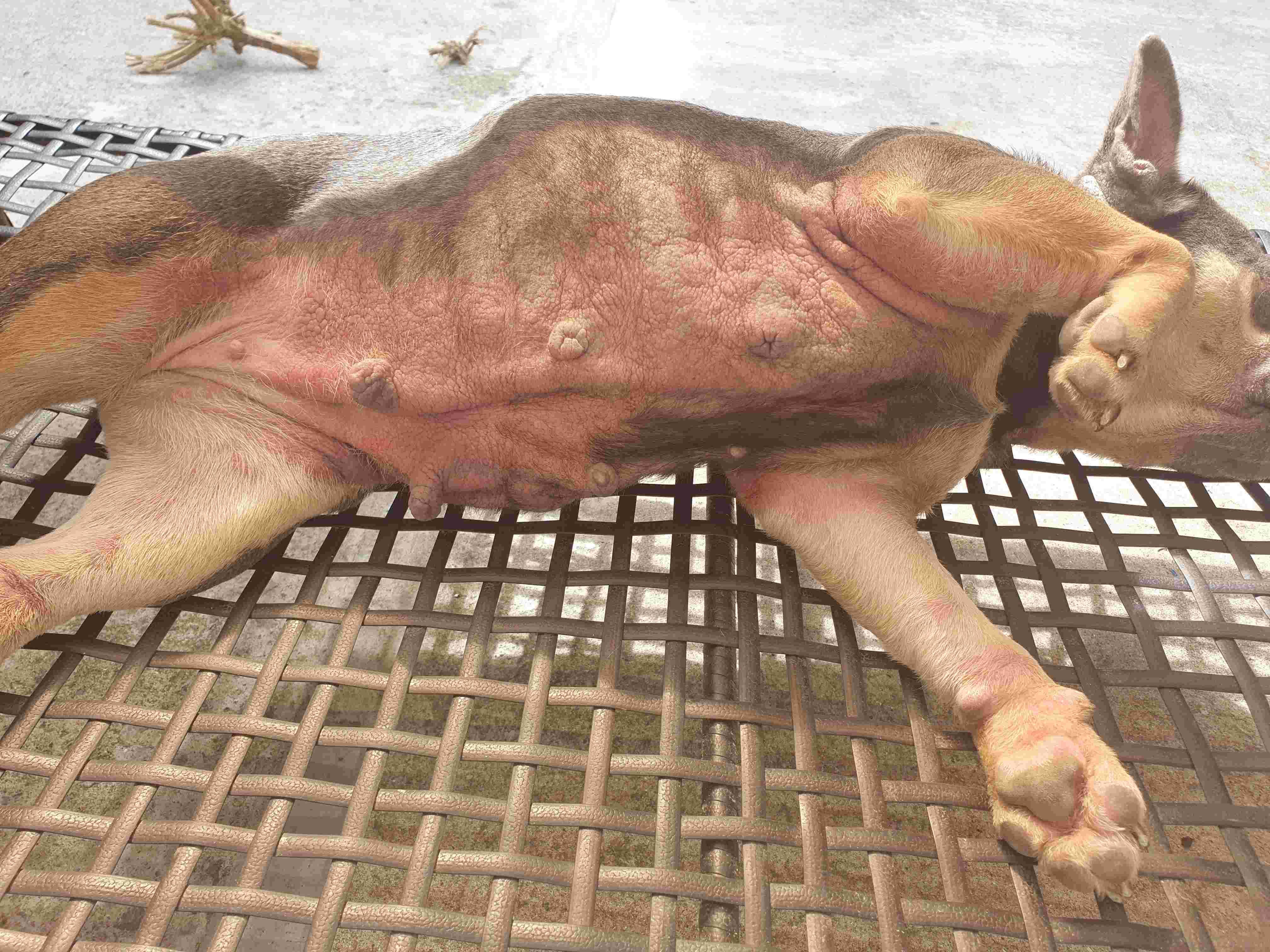 Question details sensitive content