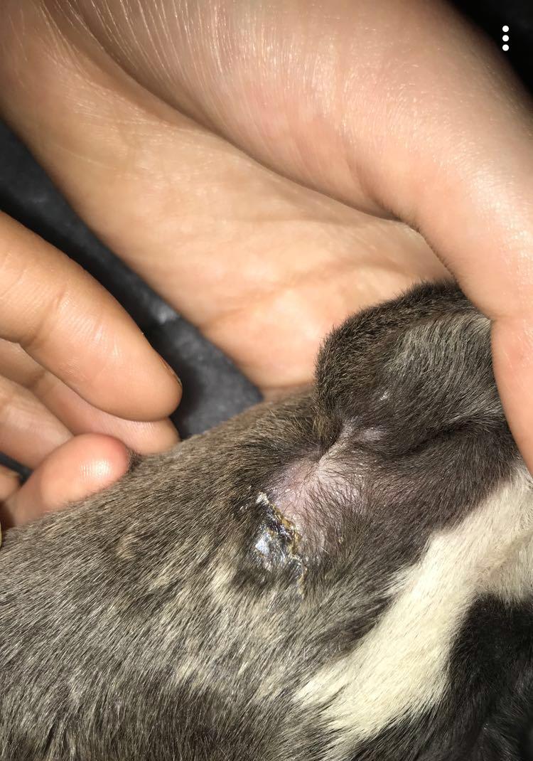 Question details sensitive content