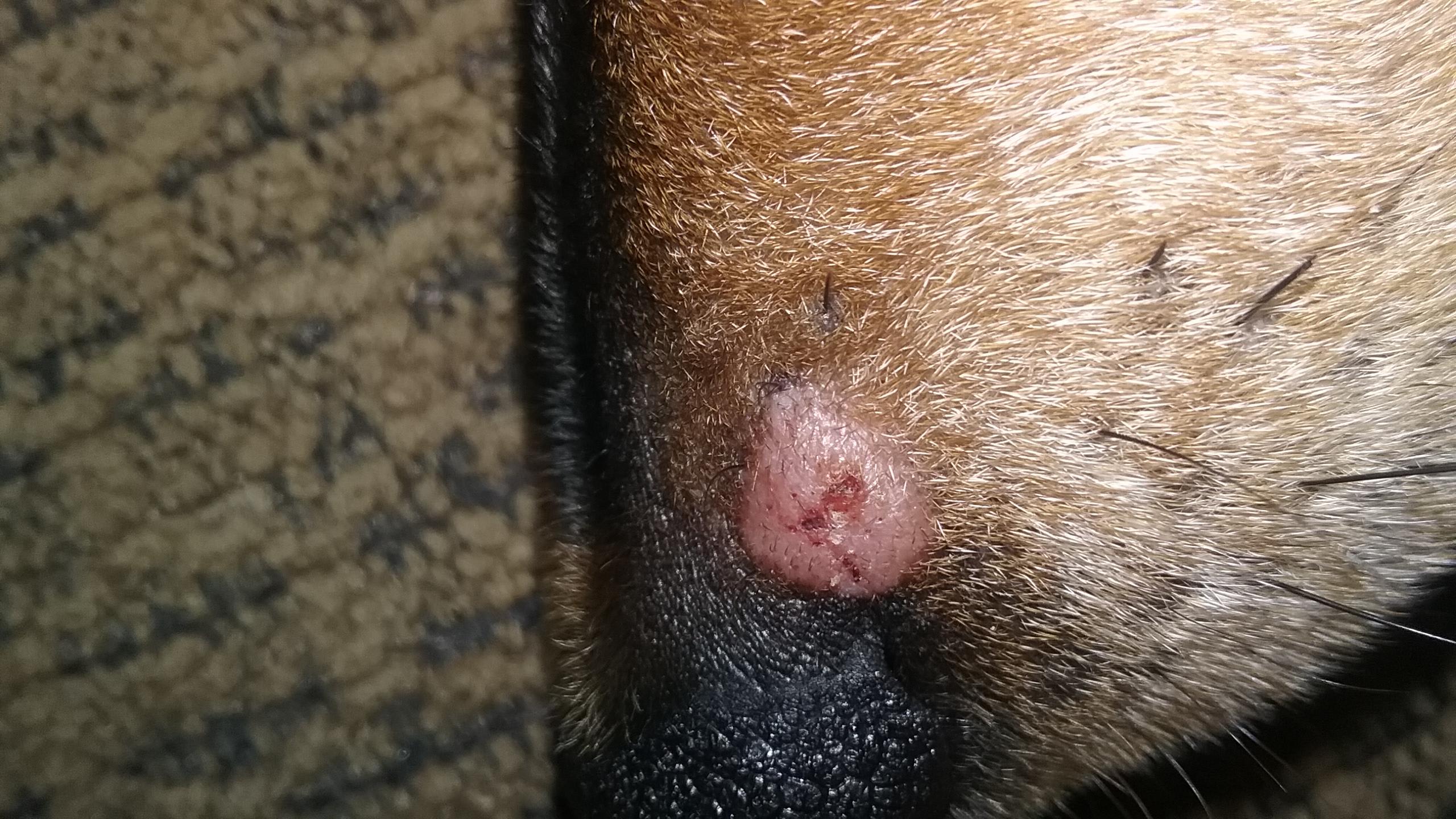 Question details sensitive content