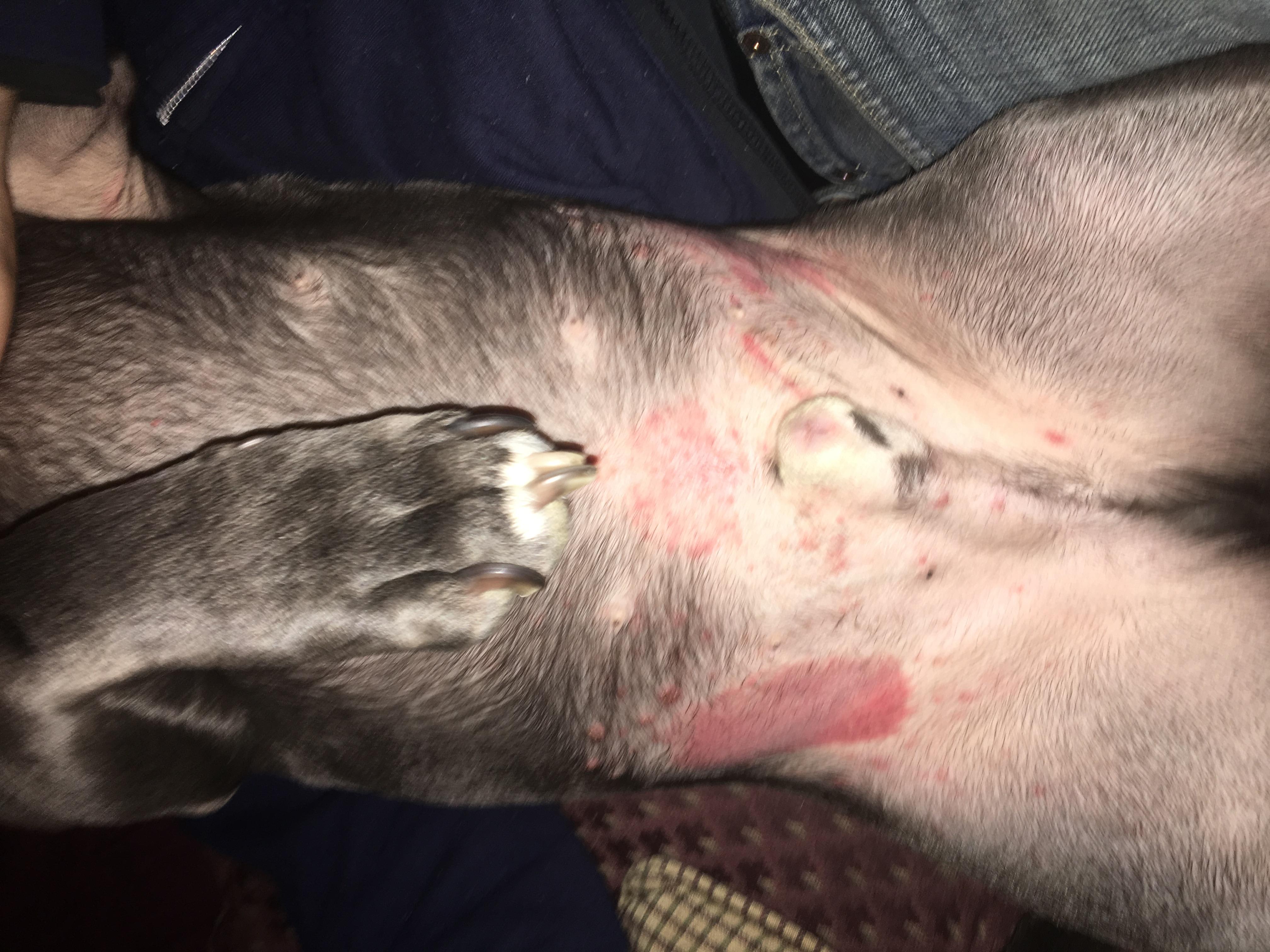 Question details sensitive content