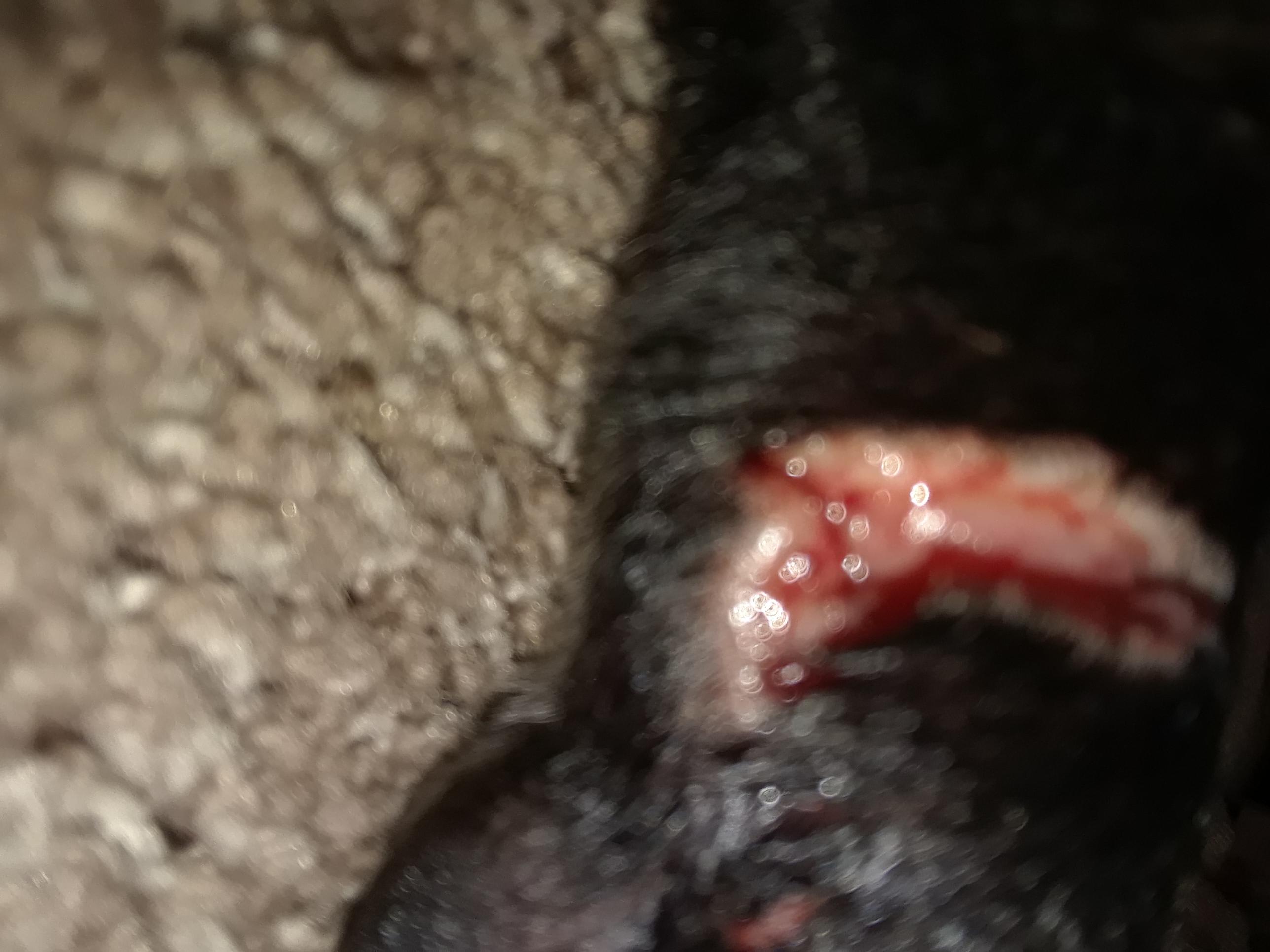 Question details sensitive content