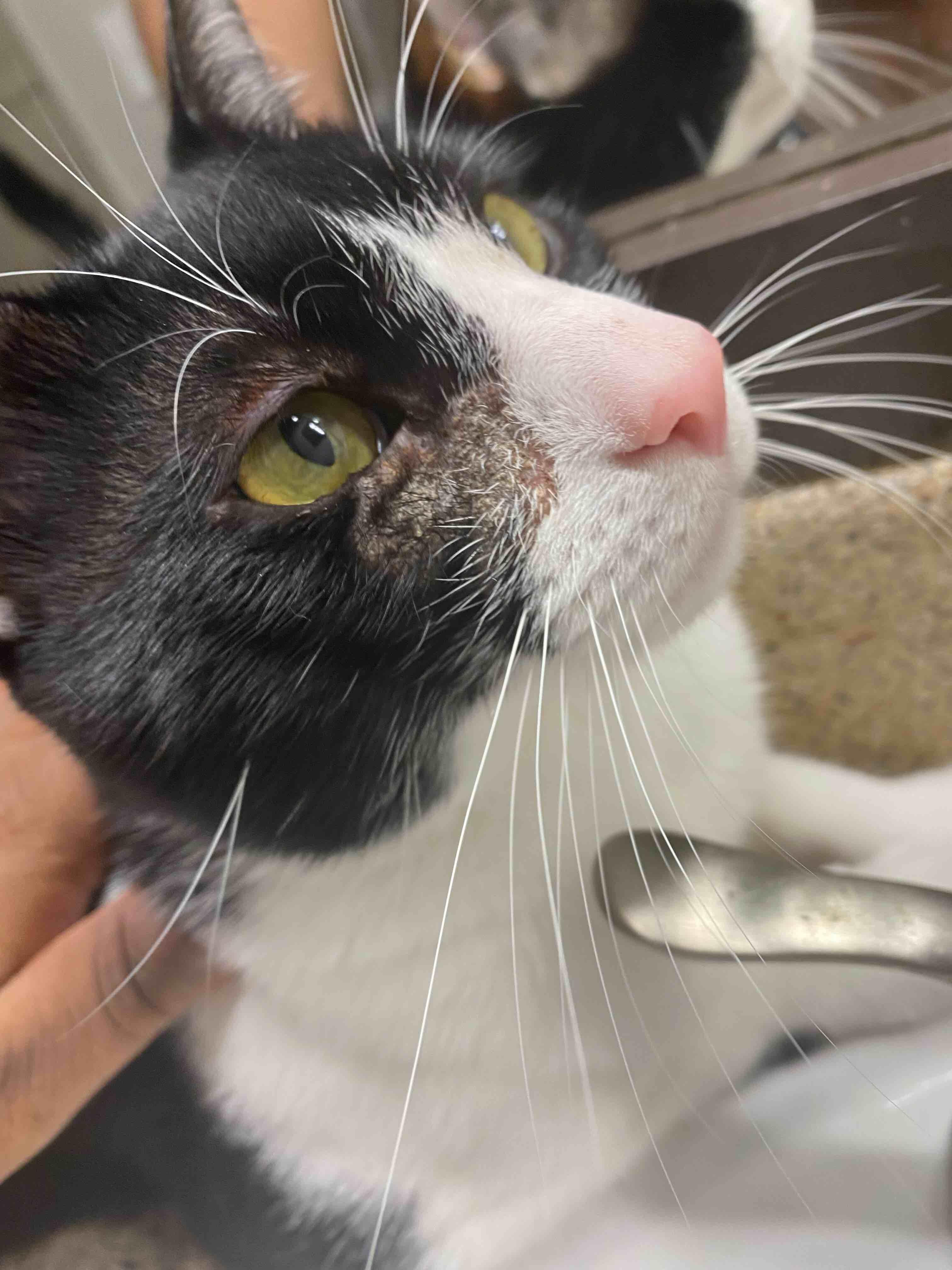 Question details sensitive content