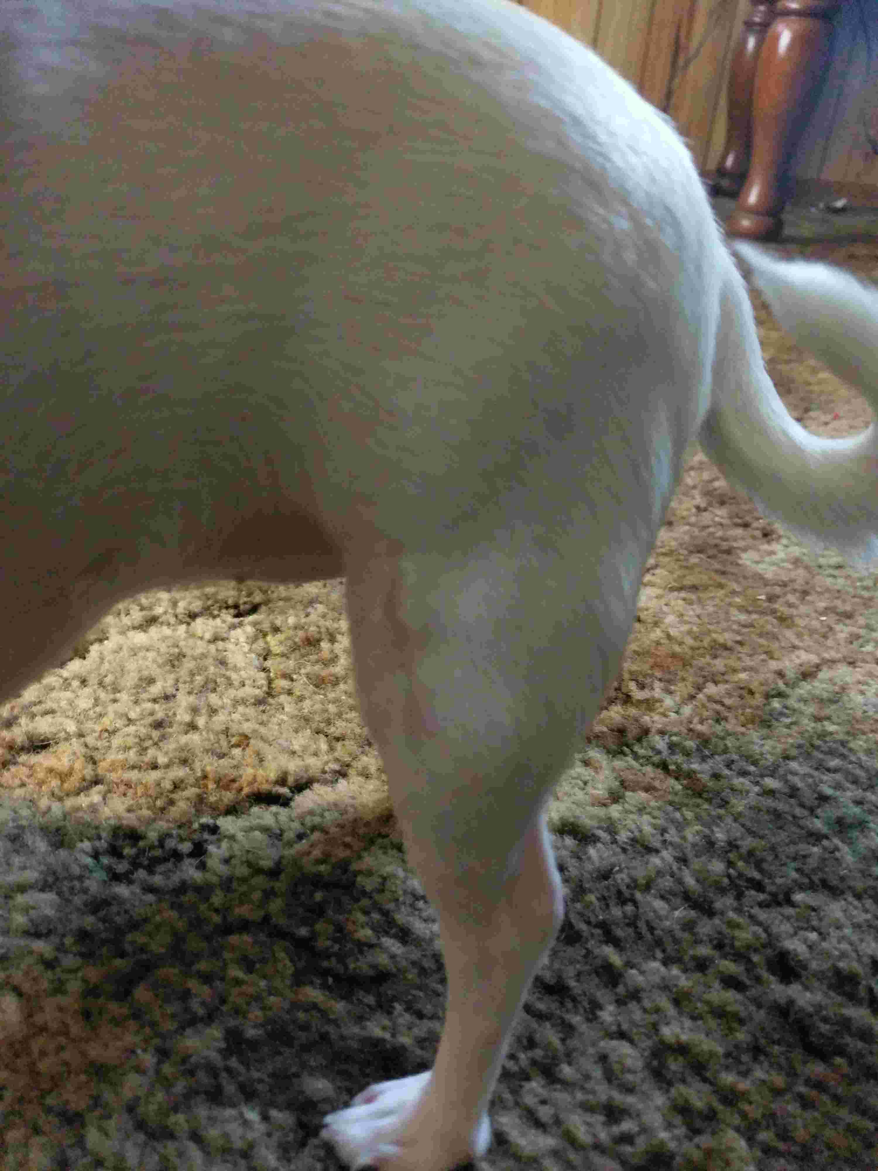 Question details sensitive content