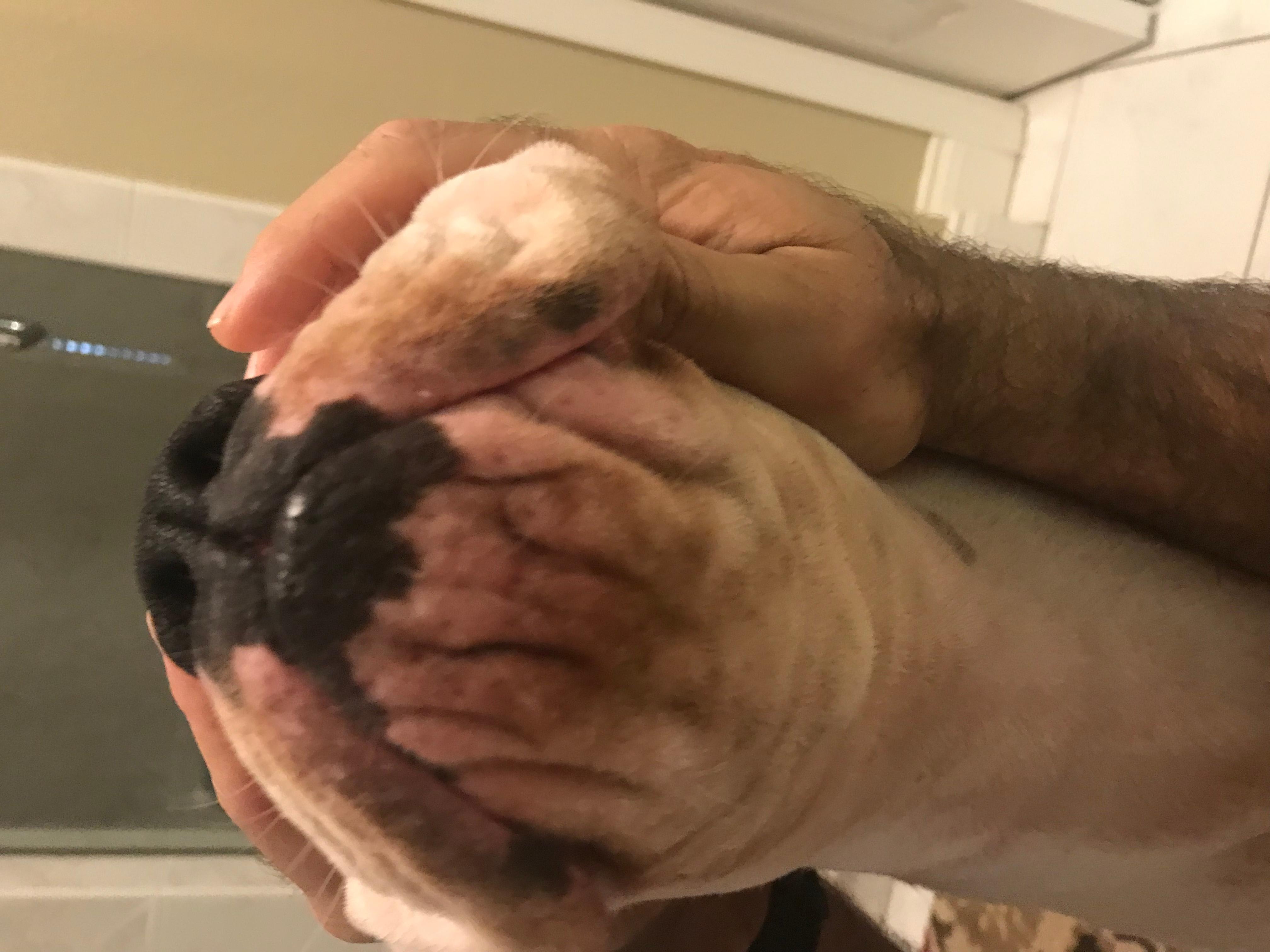 Question details sensitive content