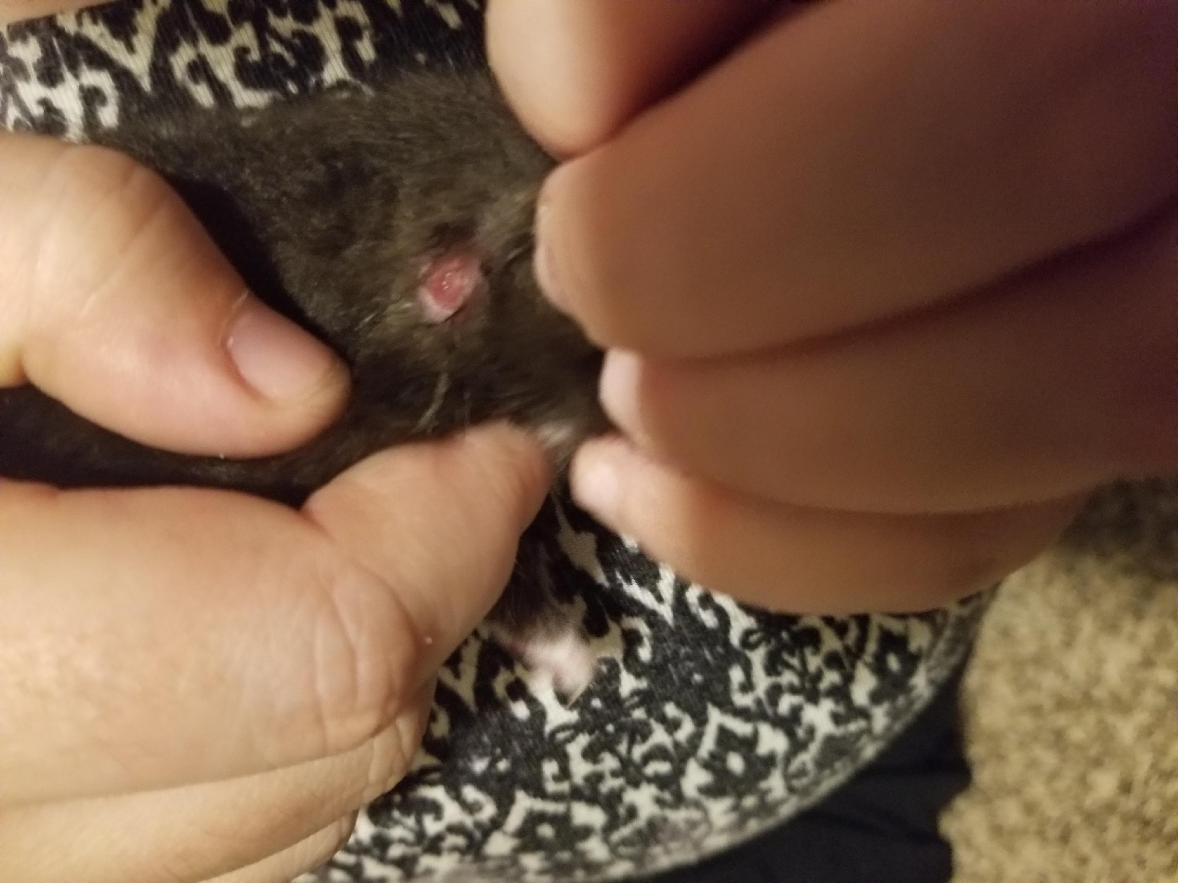 Question details sensitive content