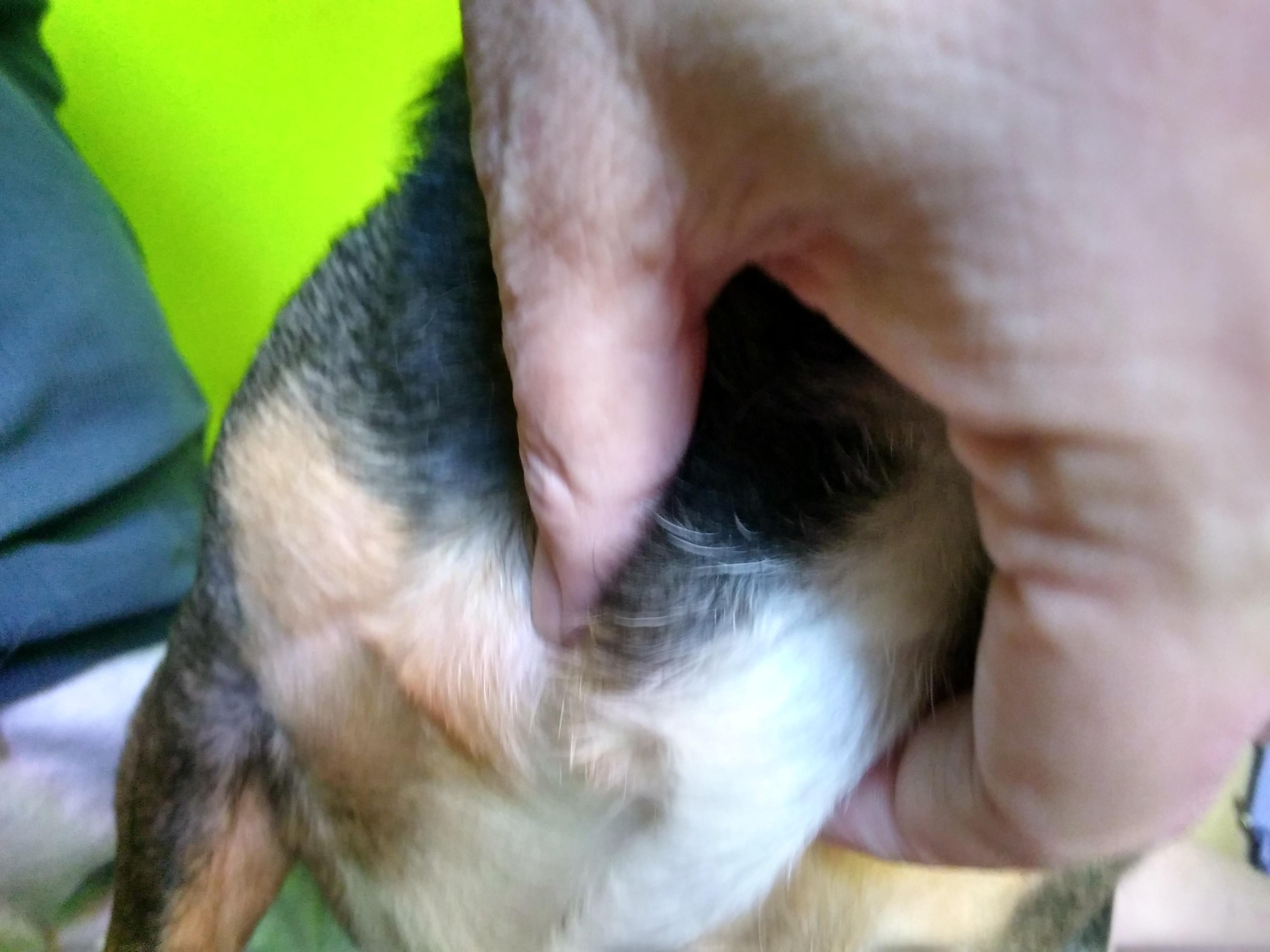 Question details sensitive content