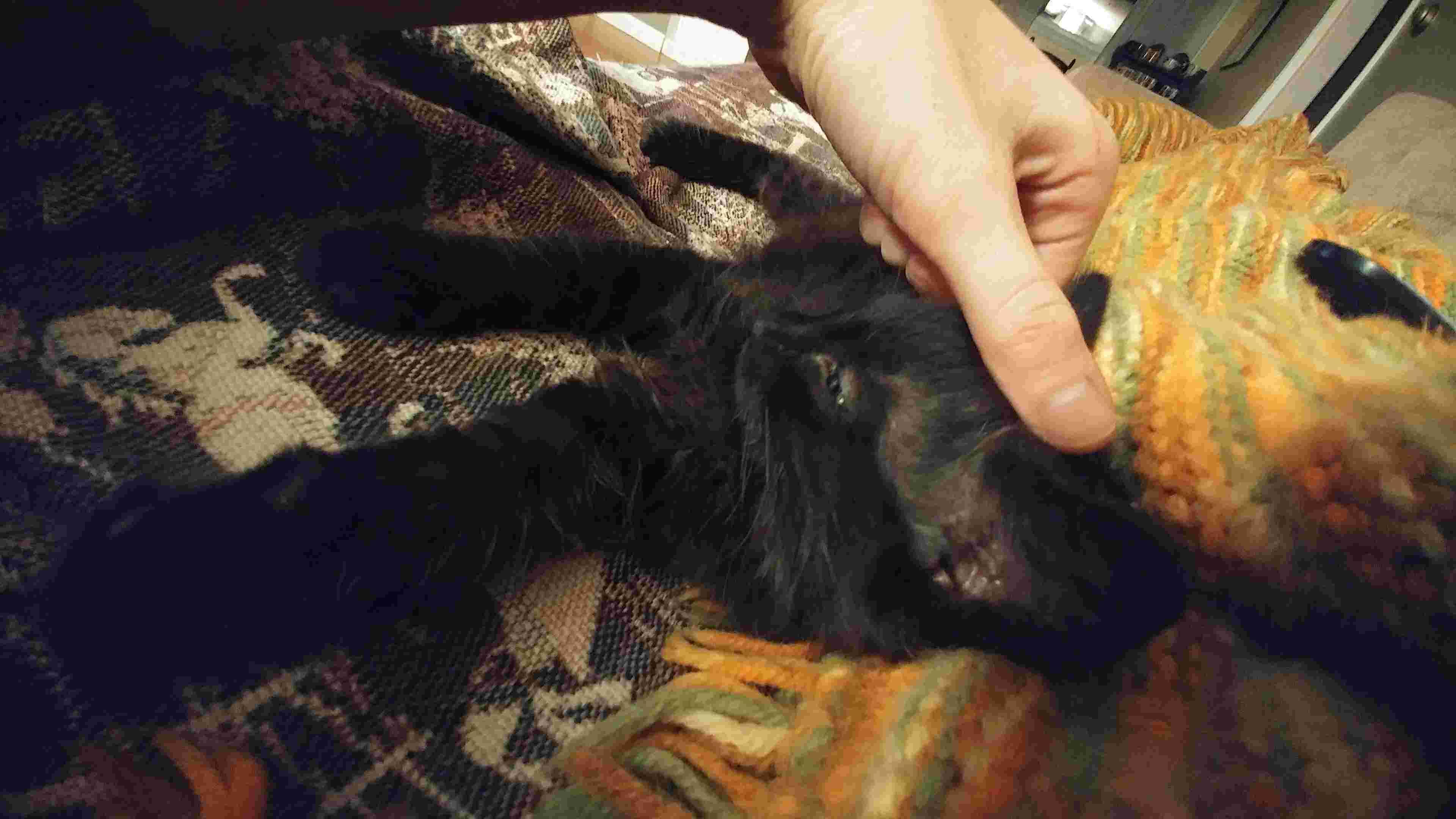 Question details sensitive content