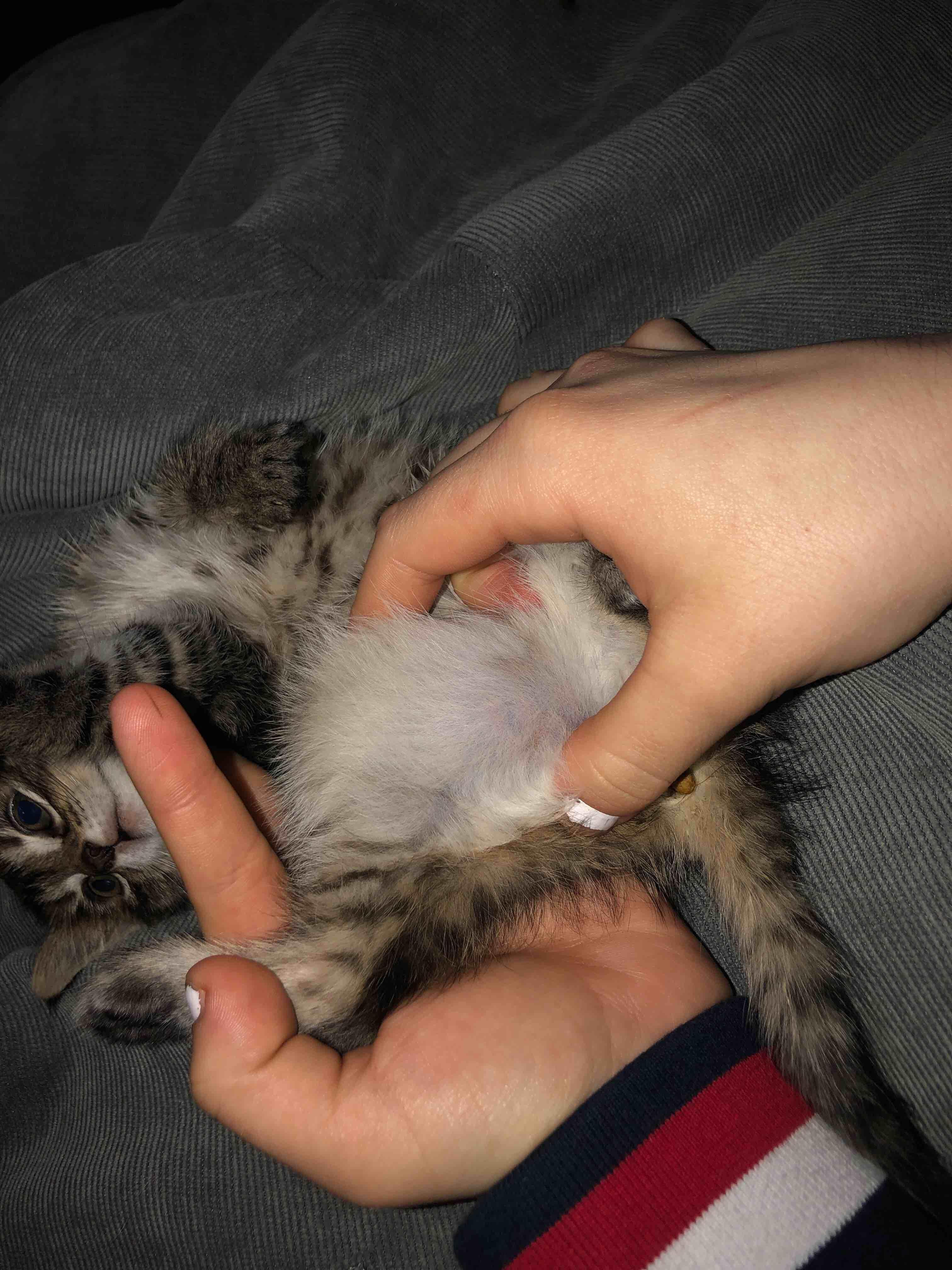 Question details sensitive content