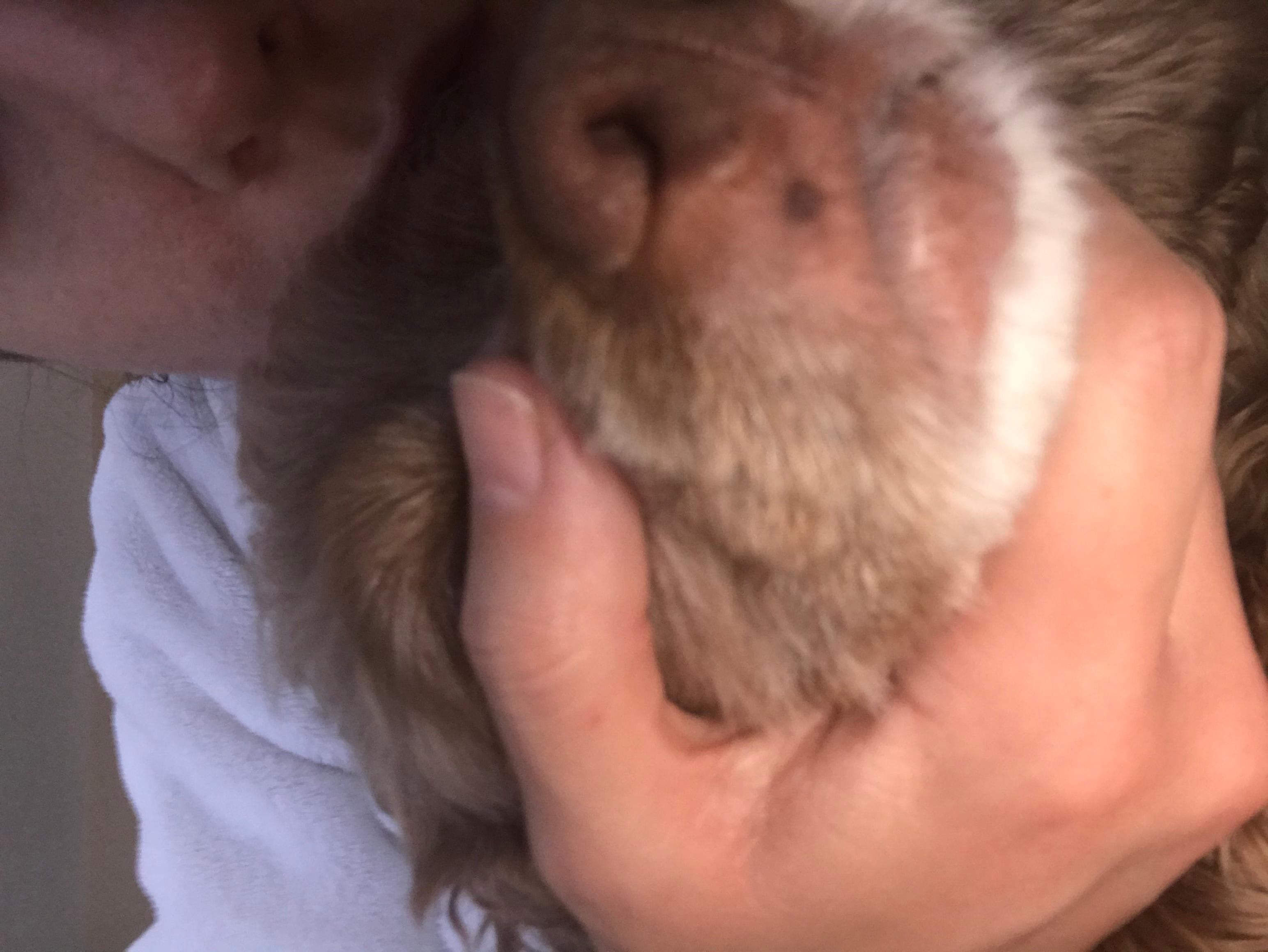 Question details sensitive content