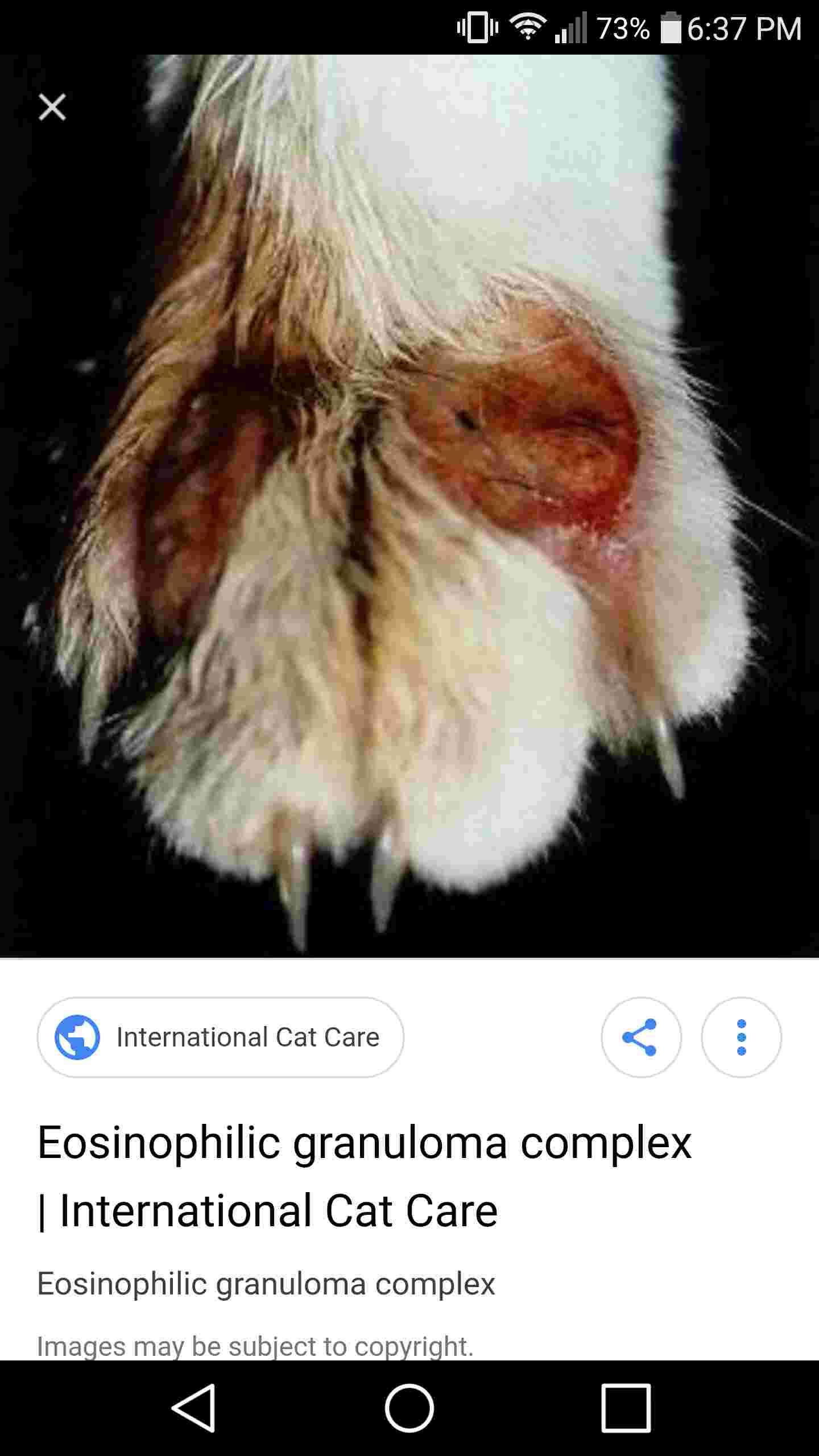 Question details sensitive content