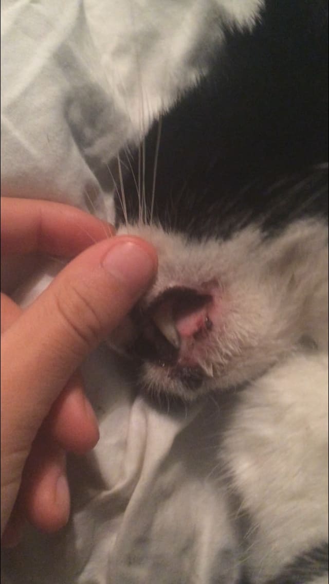 Question details sensitive content