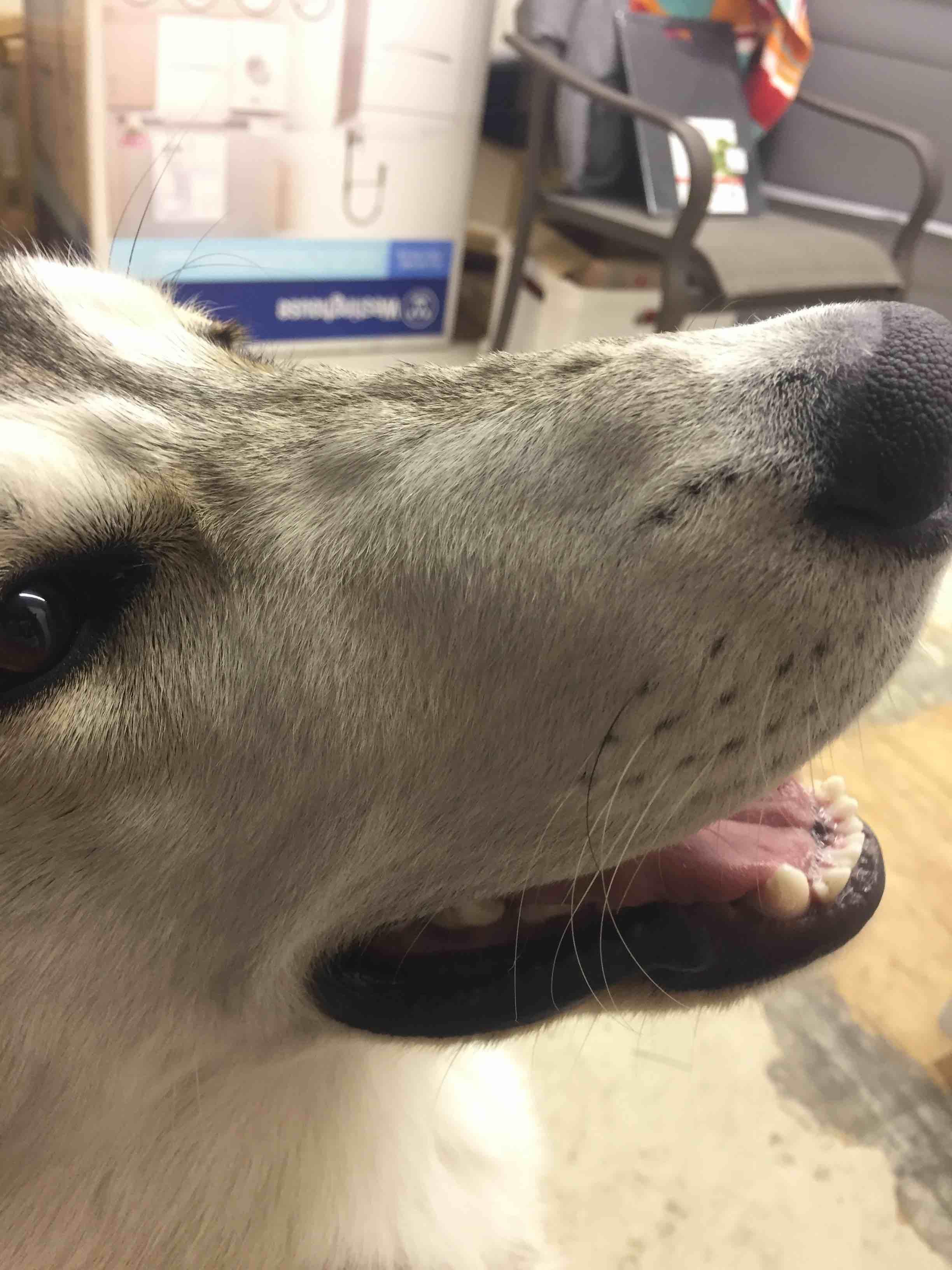 Question details sensitive content