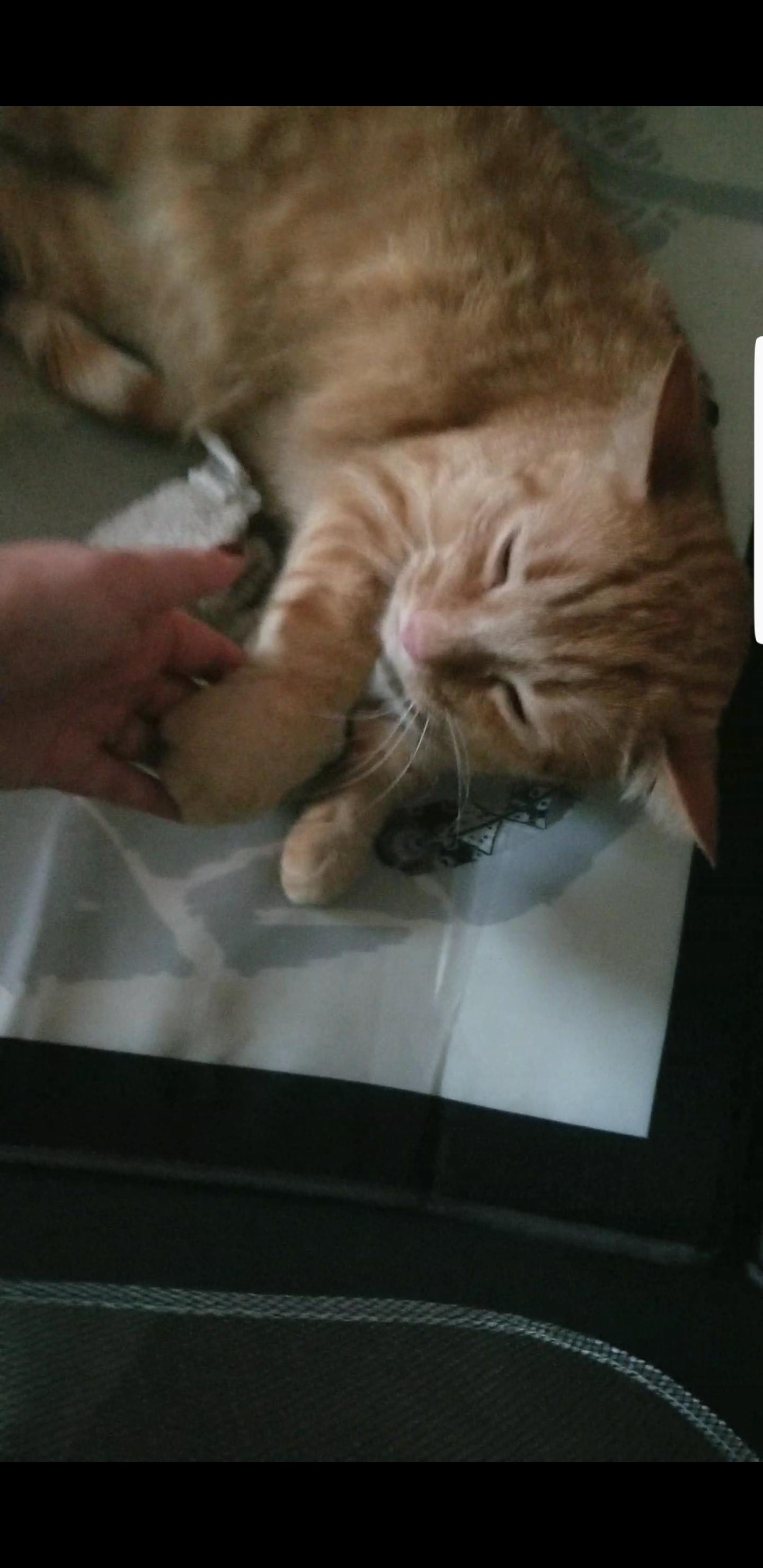 Question details sensitive content