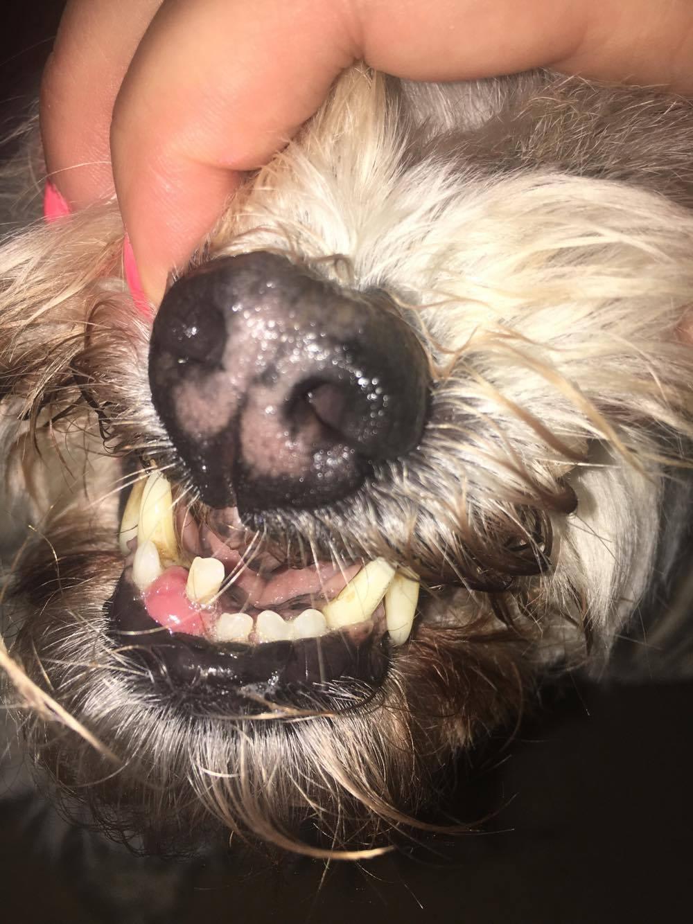 Question details sensitive content