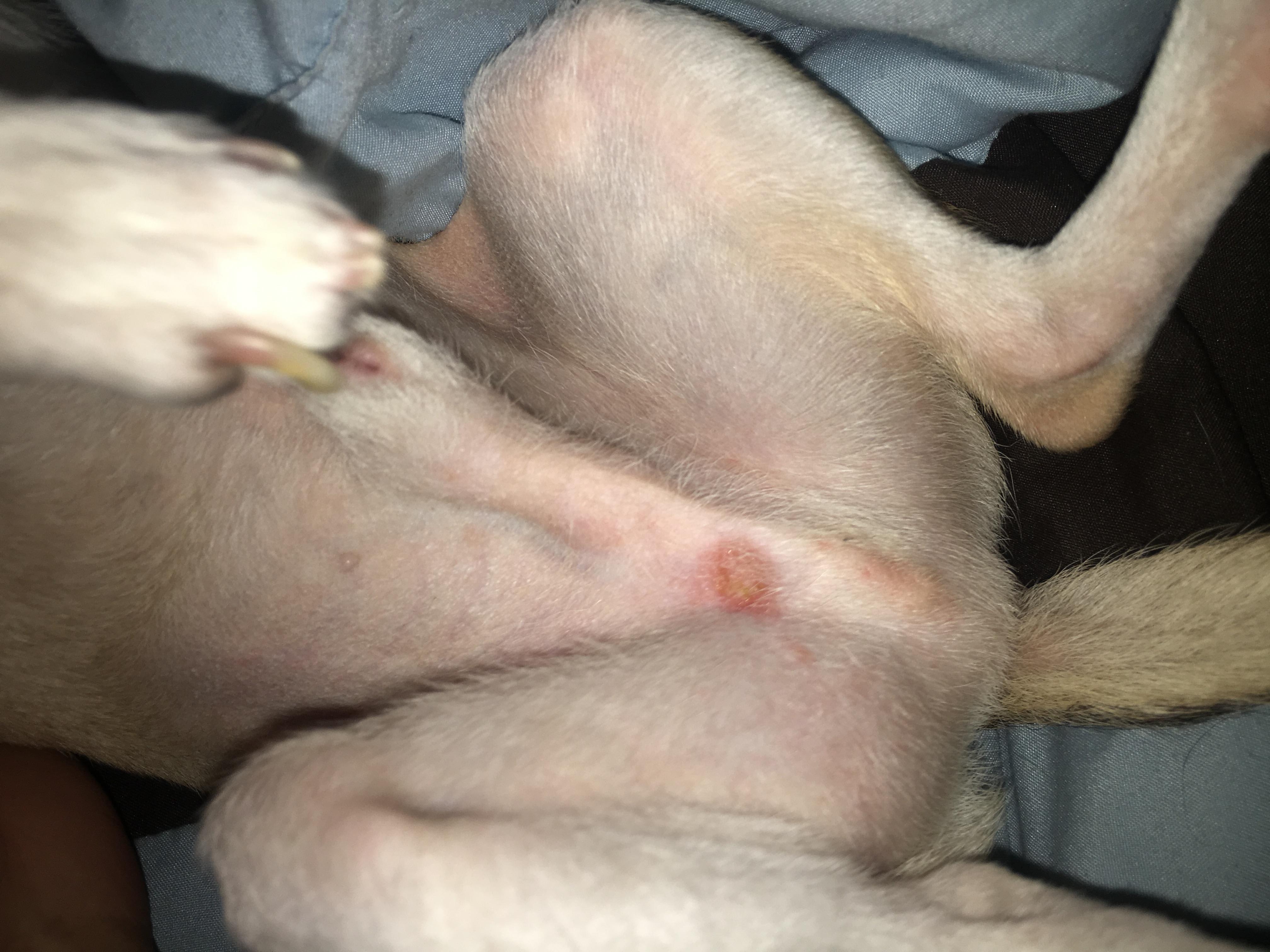 Question details sensitive content