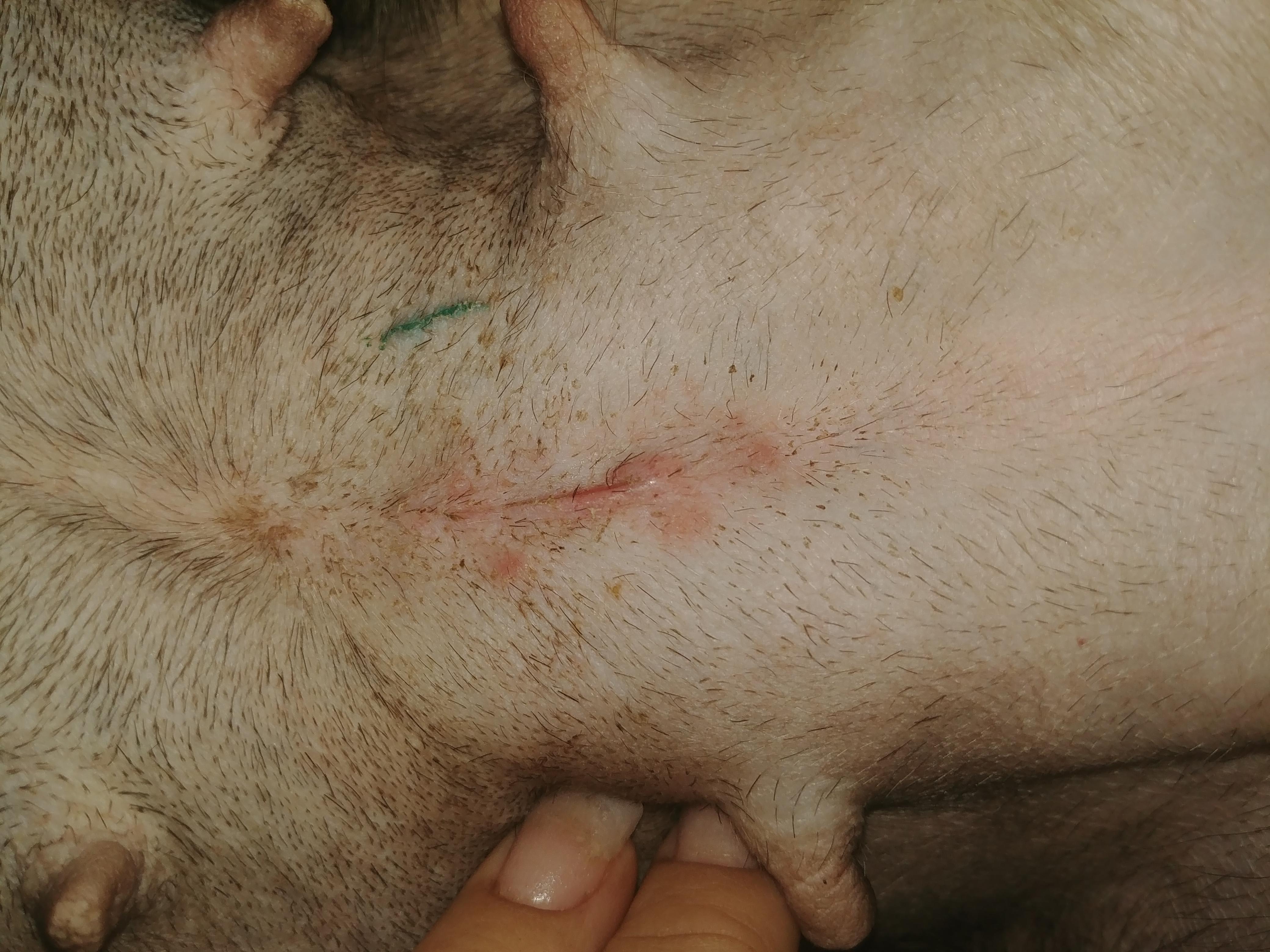 Question details sensitive content