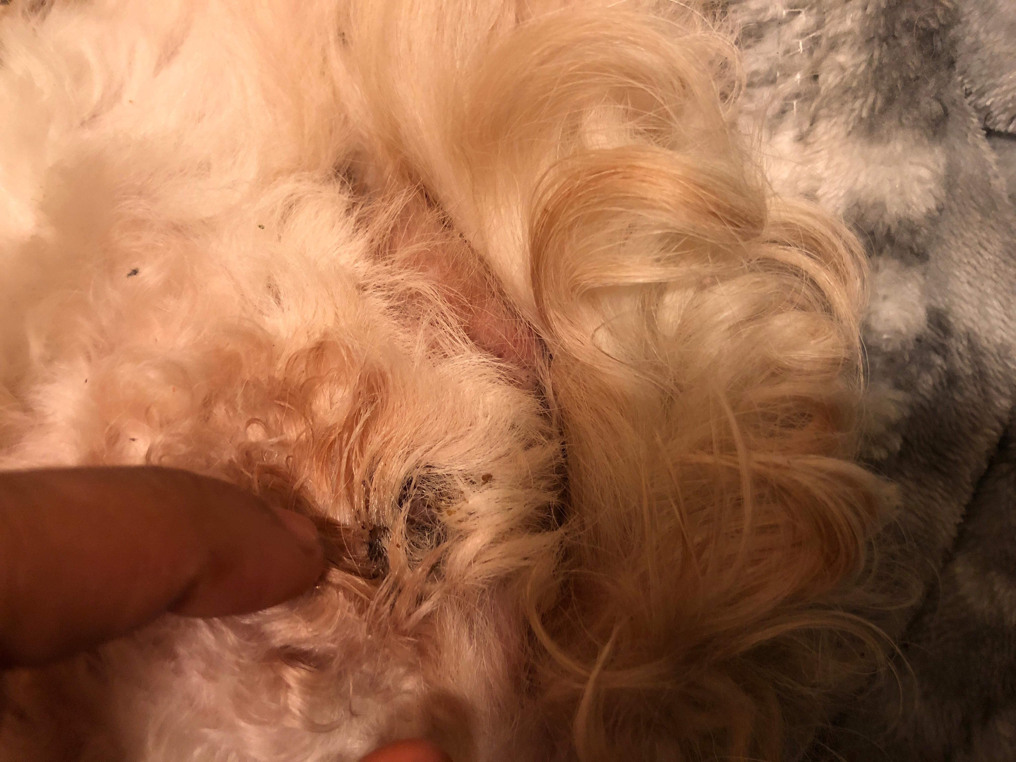 Question details sensitive content