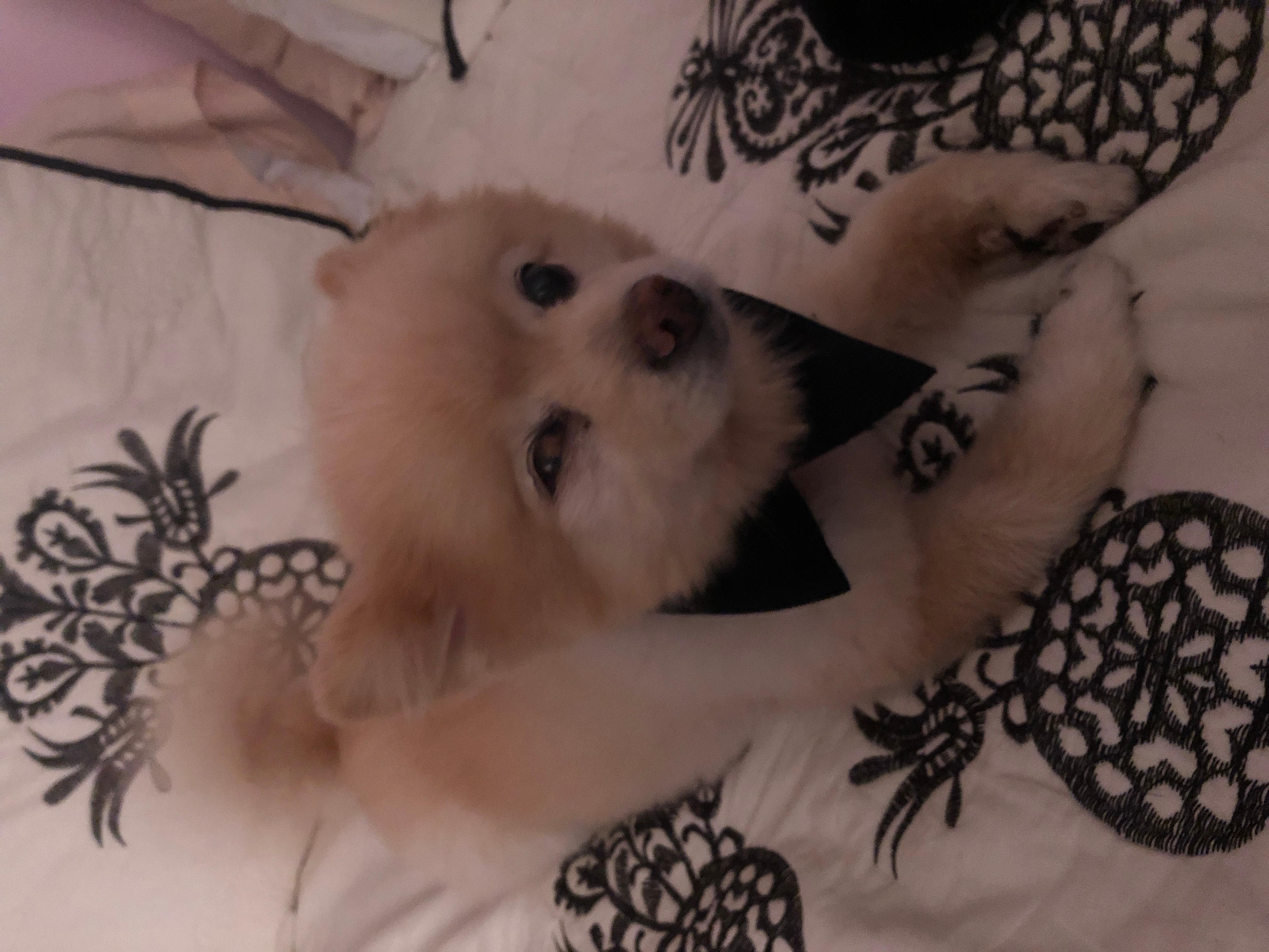 Question details sensitive content