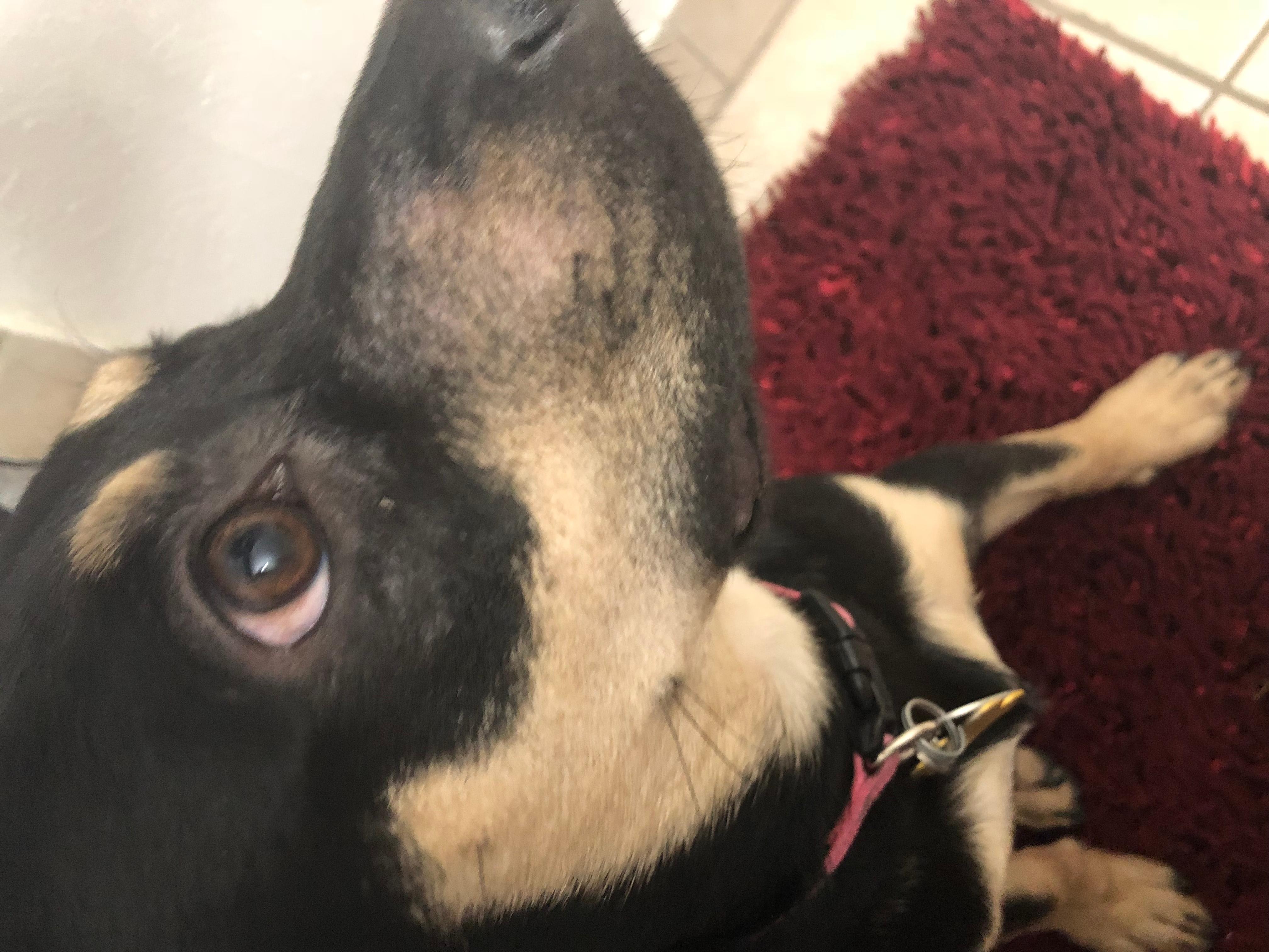 Question details sensitive content