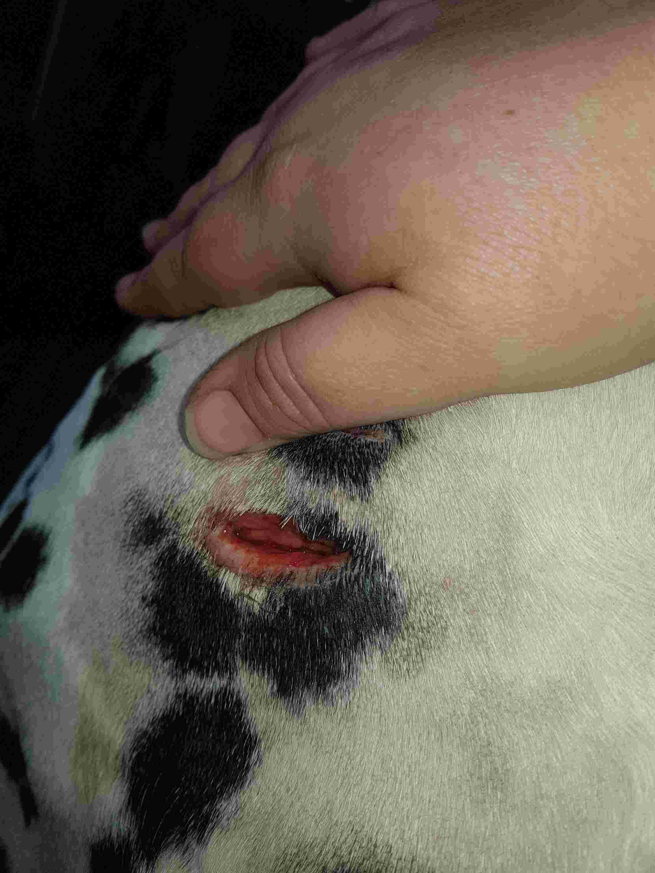 Question details sensitive content