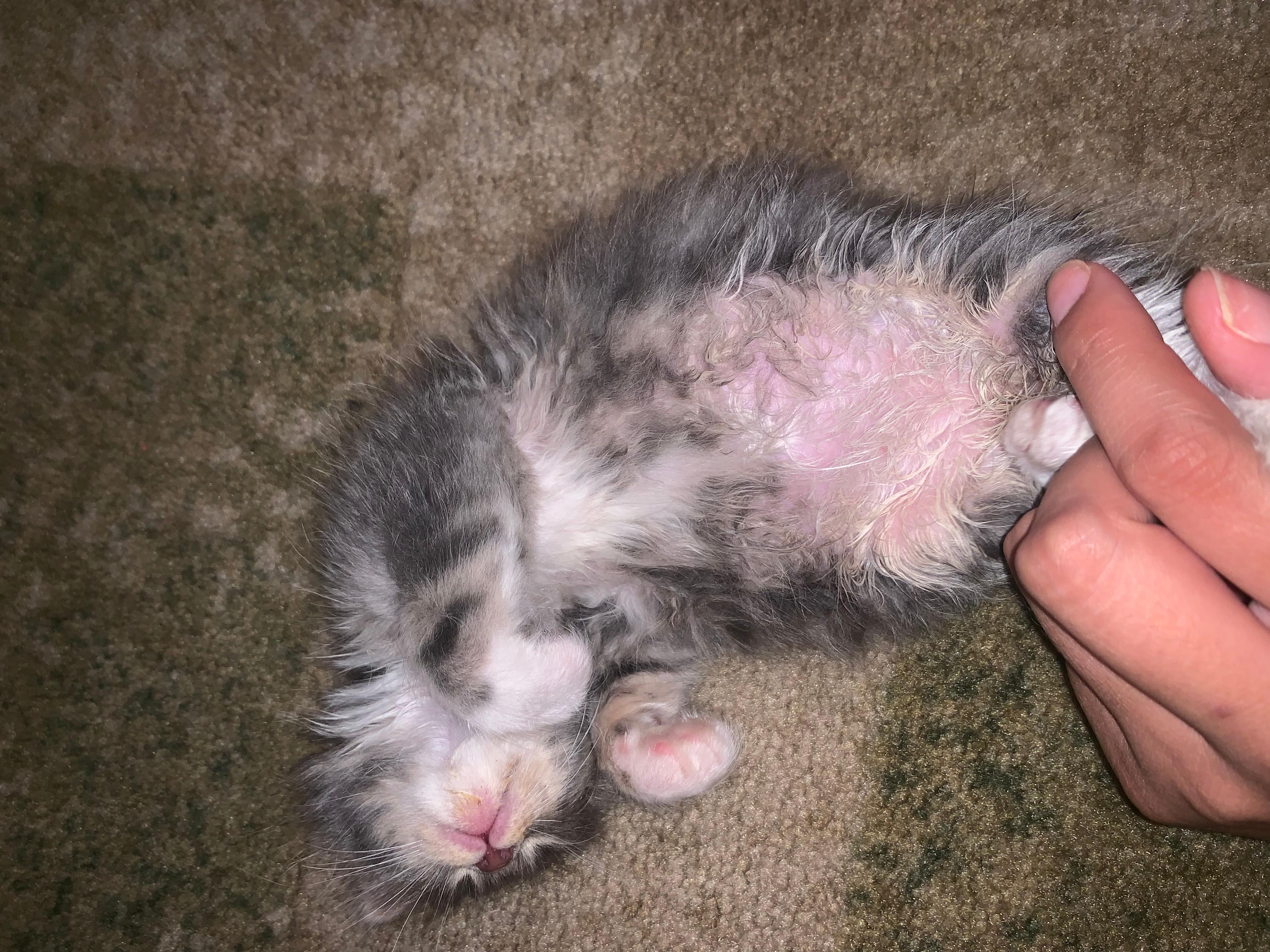 Question details sensitive content