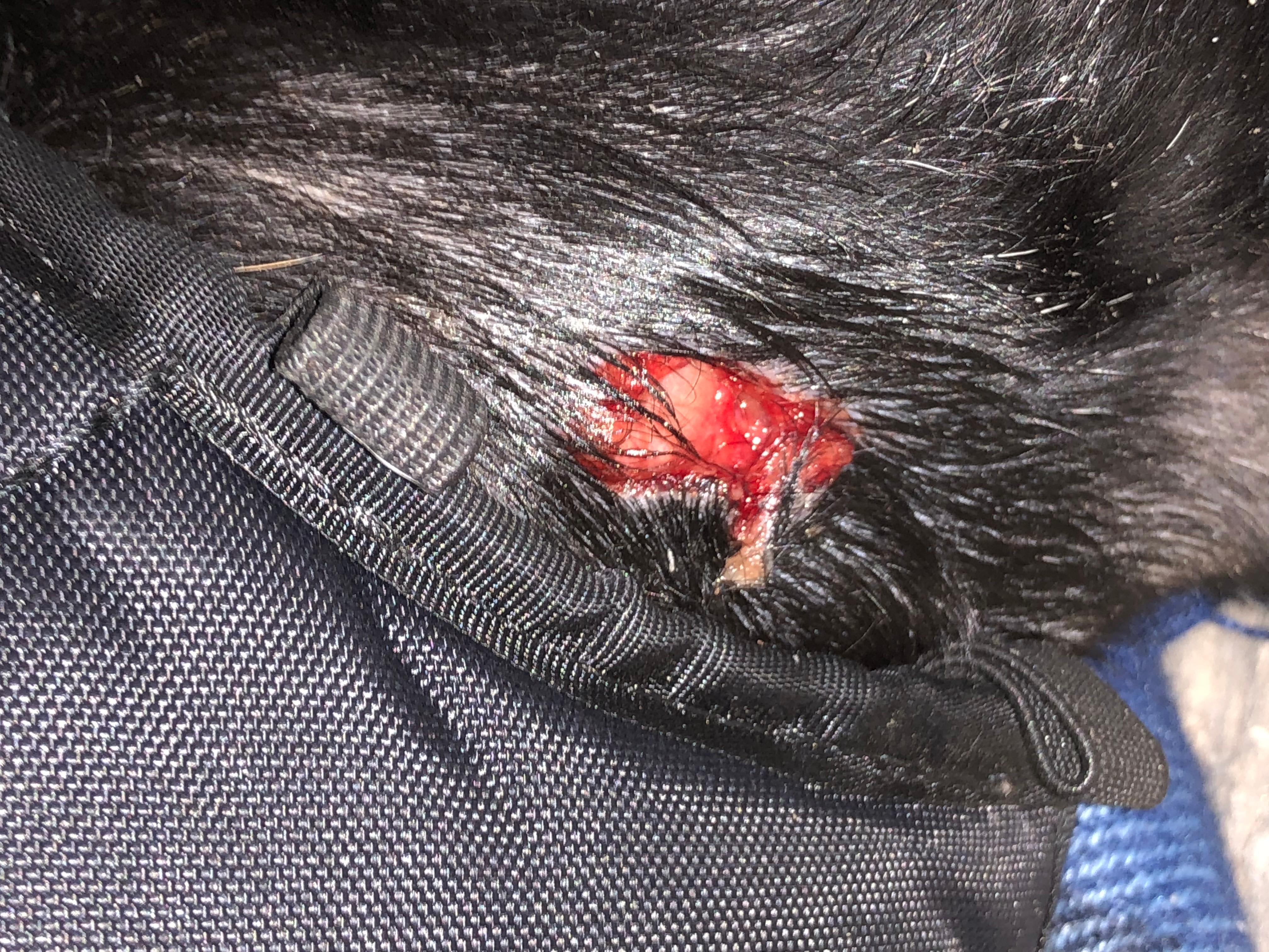 Question details sensitive content