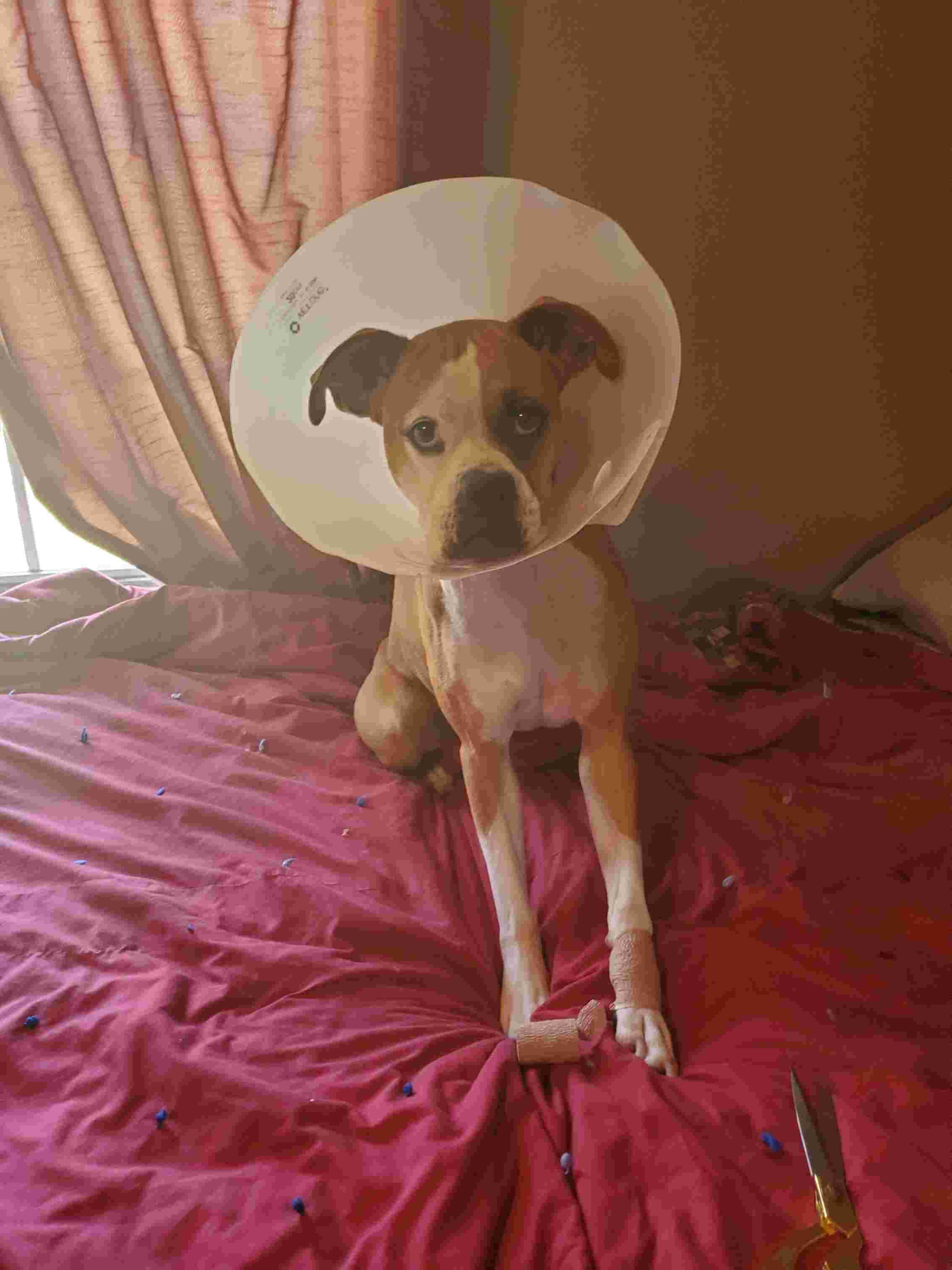 Question details sensitive content