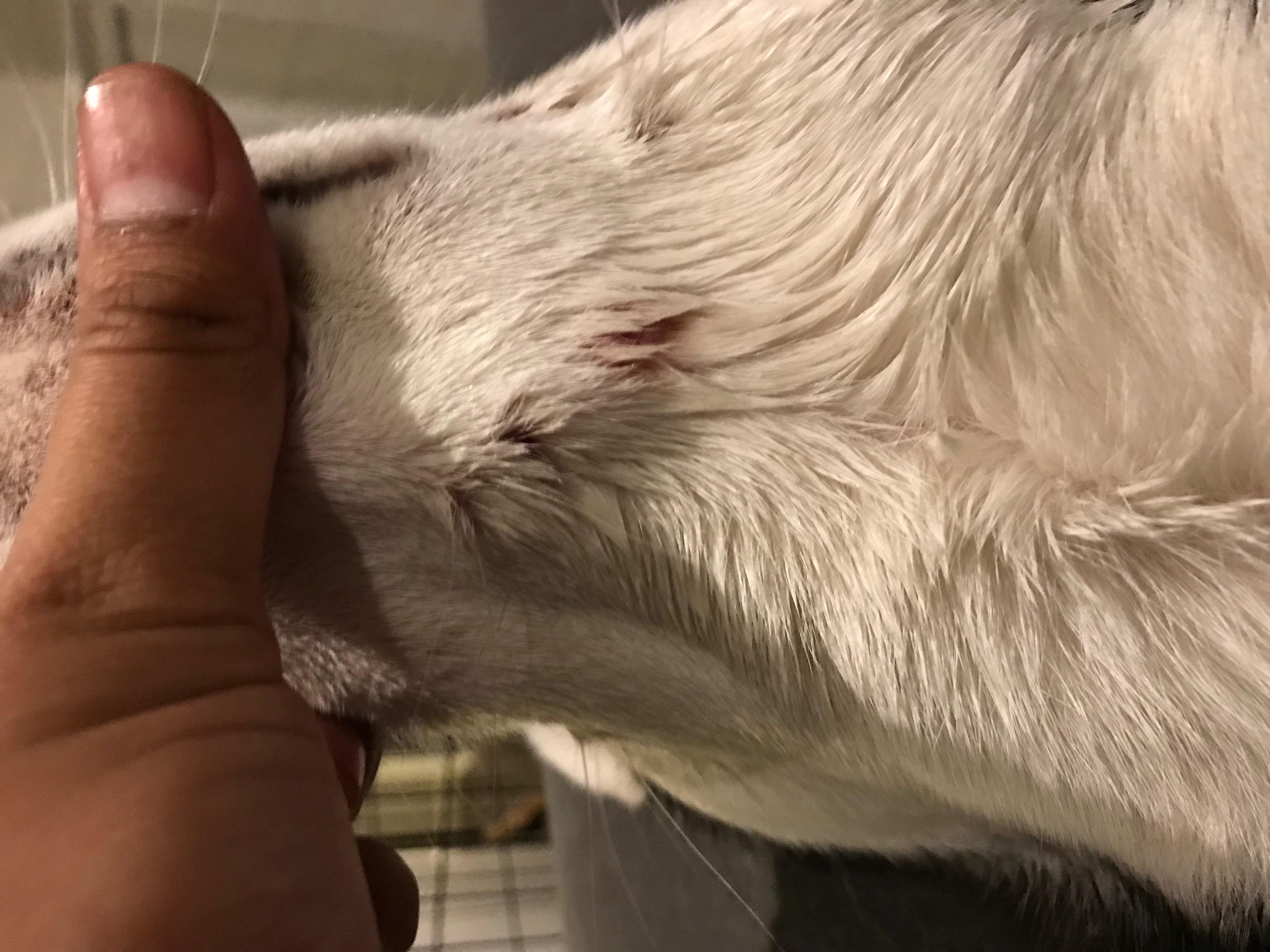 Question details sensitive content