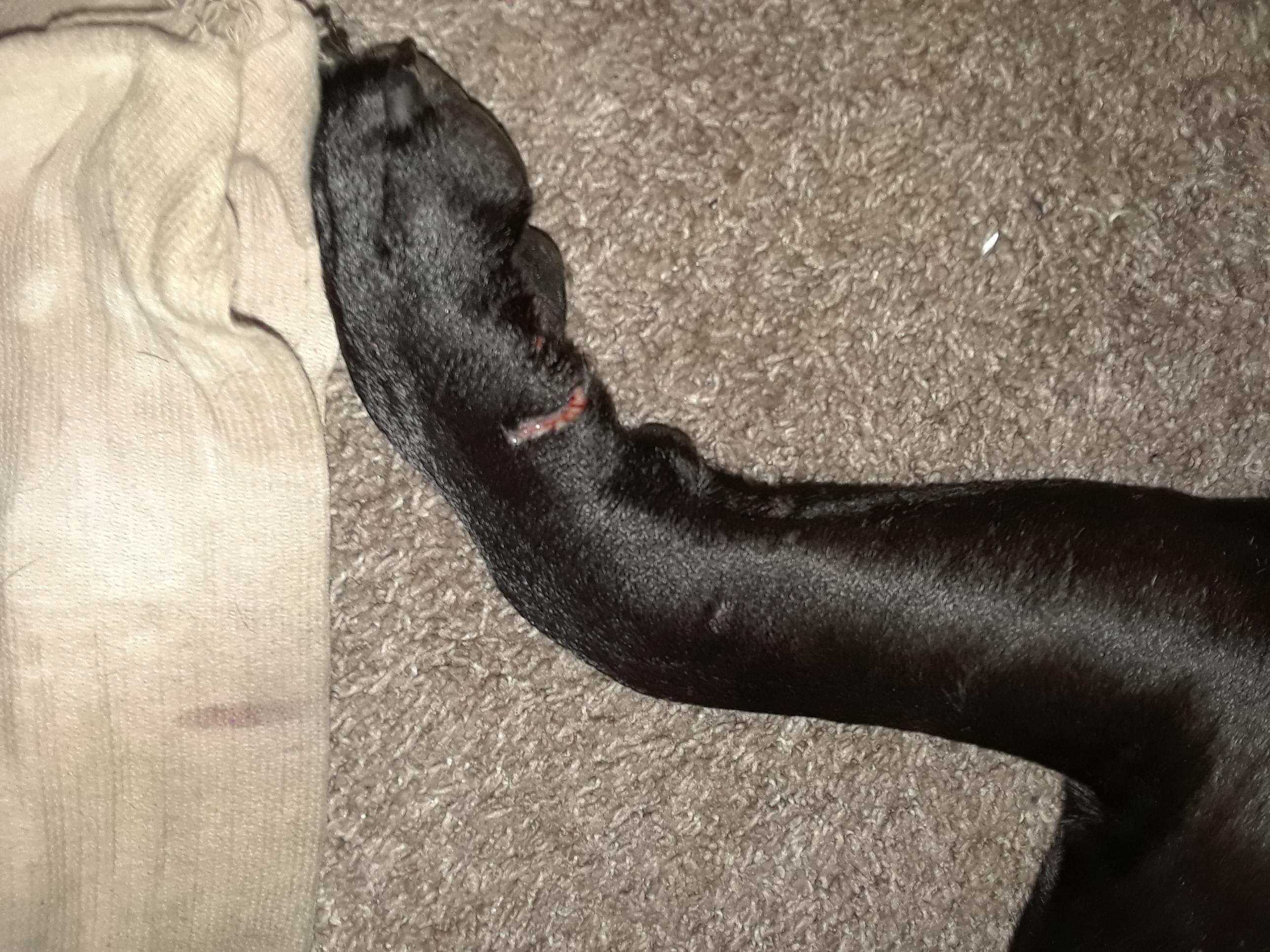 Question details sensitive content