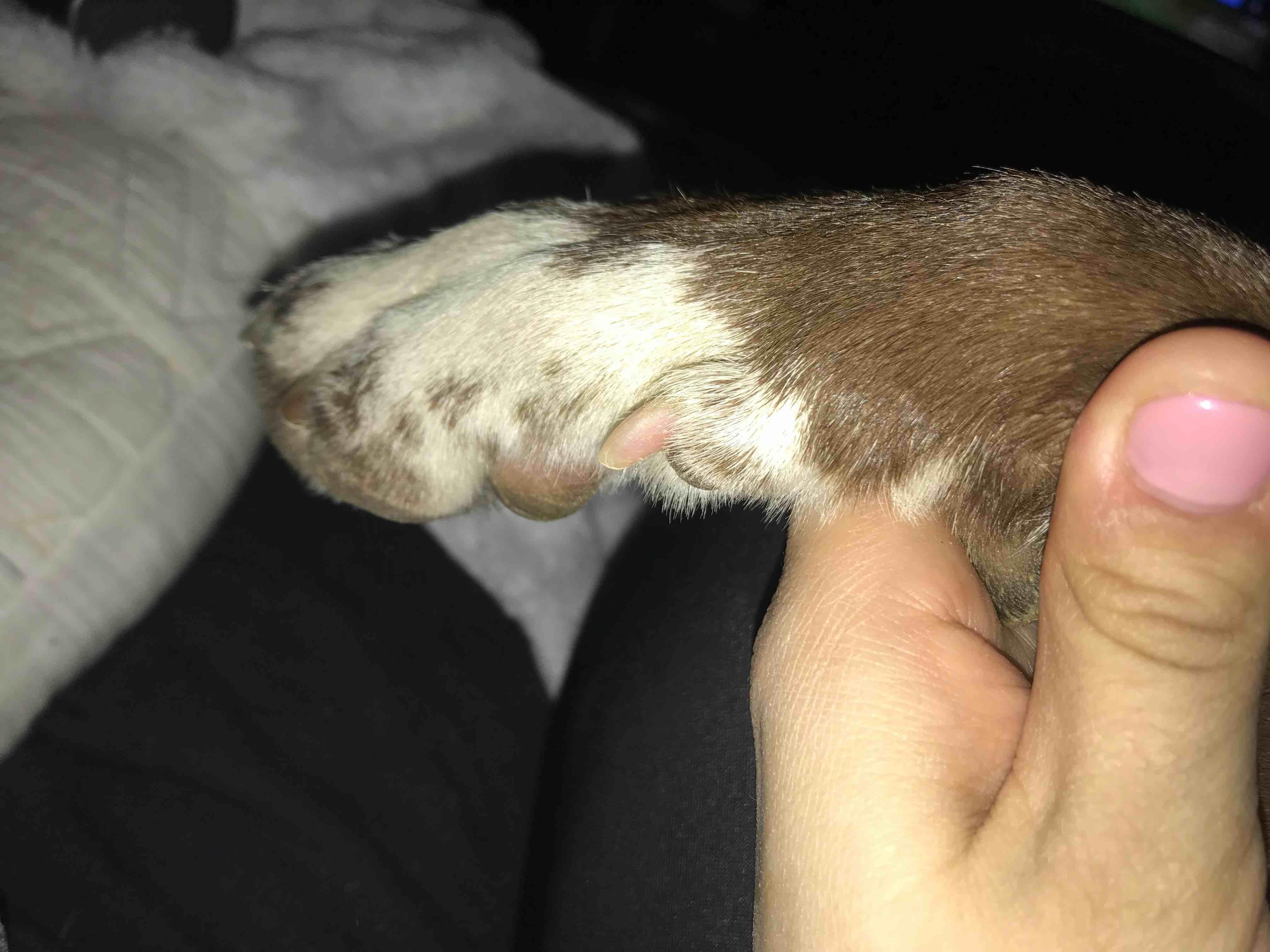 Question details sensitive content