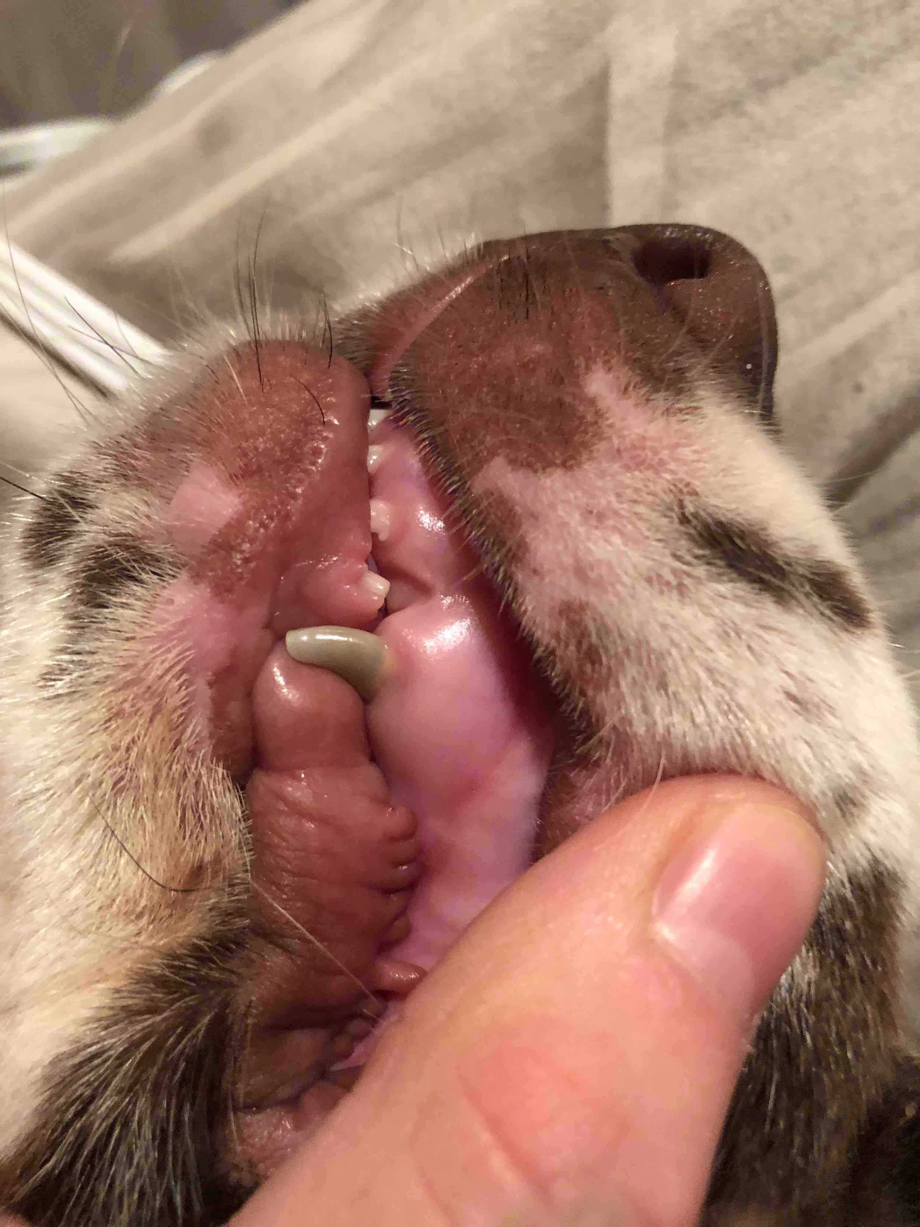 Question details sensitive content