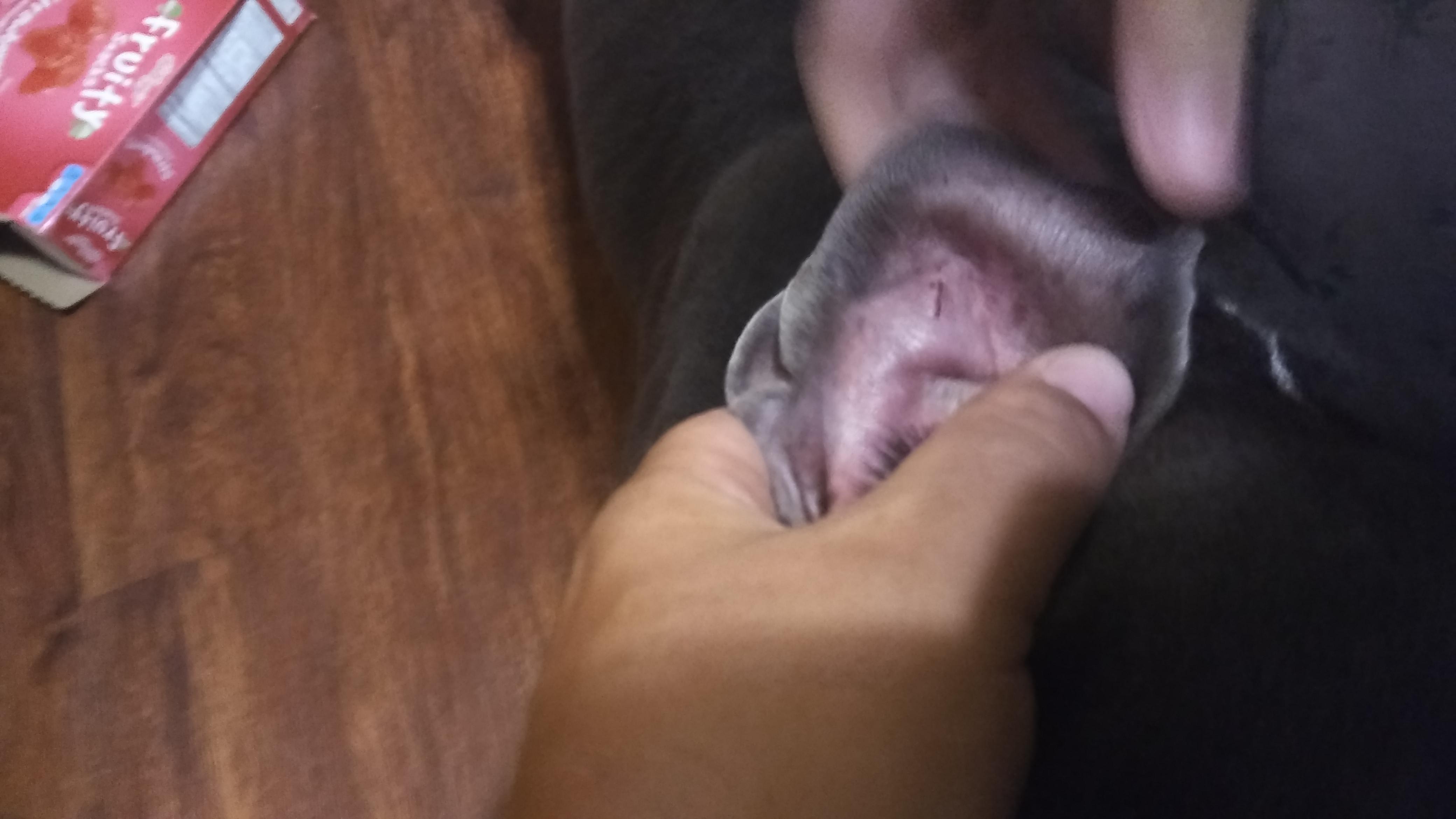 Question details sensitive content