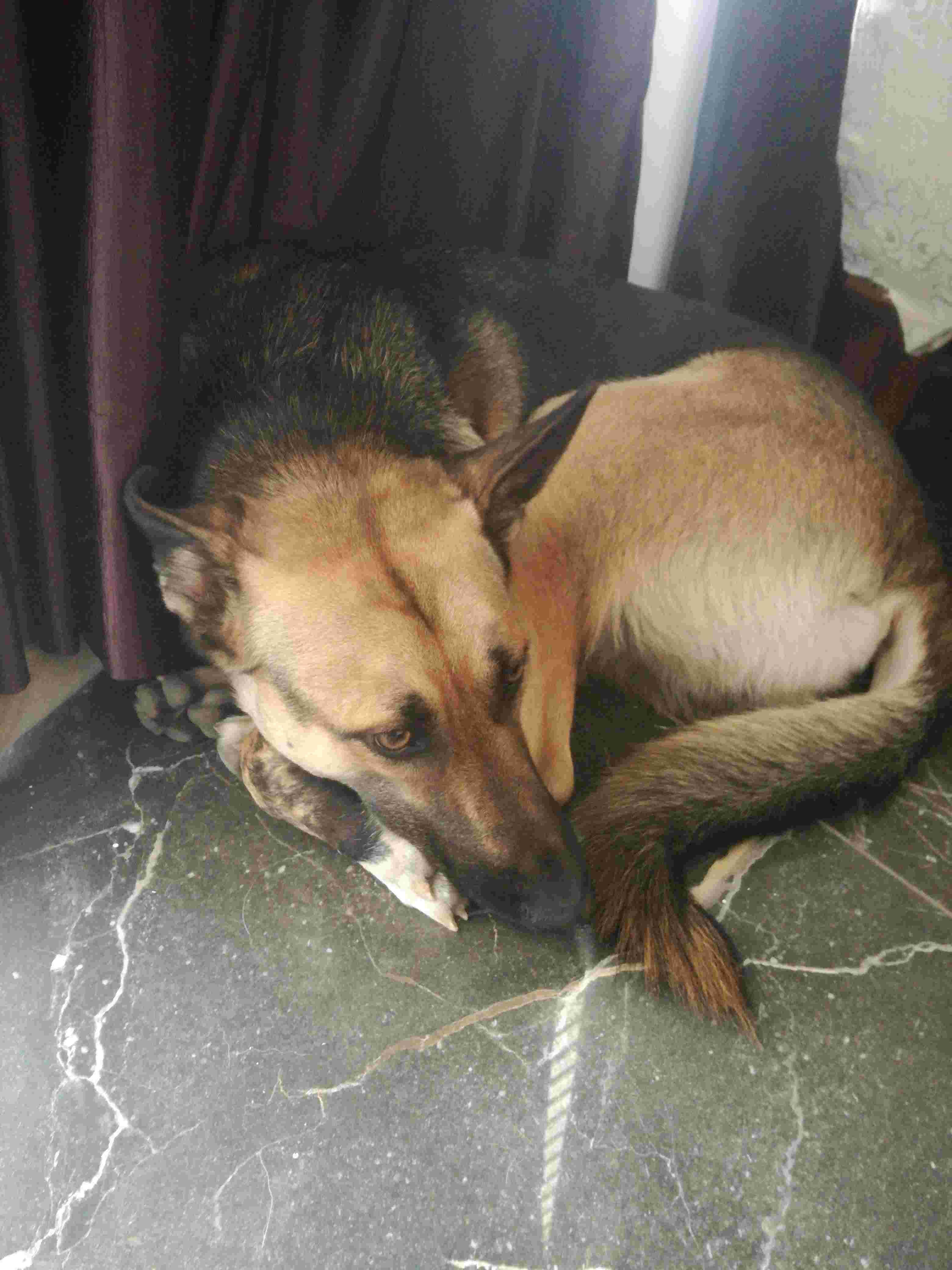 Question details sensitive content