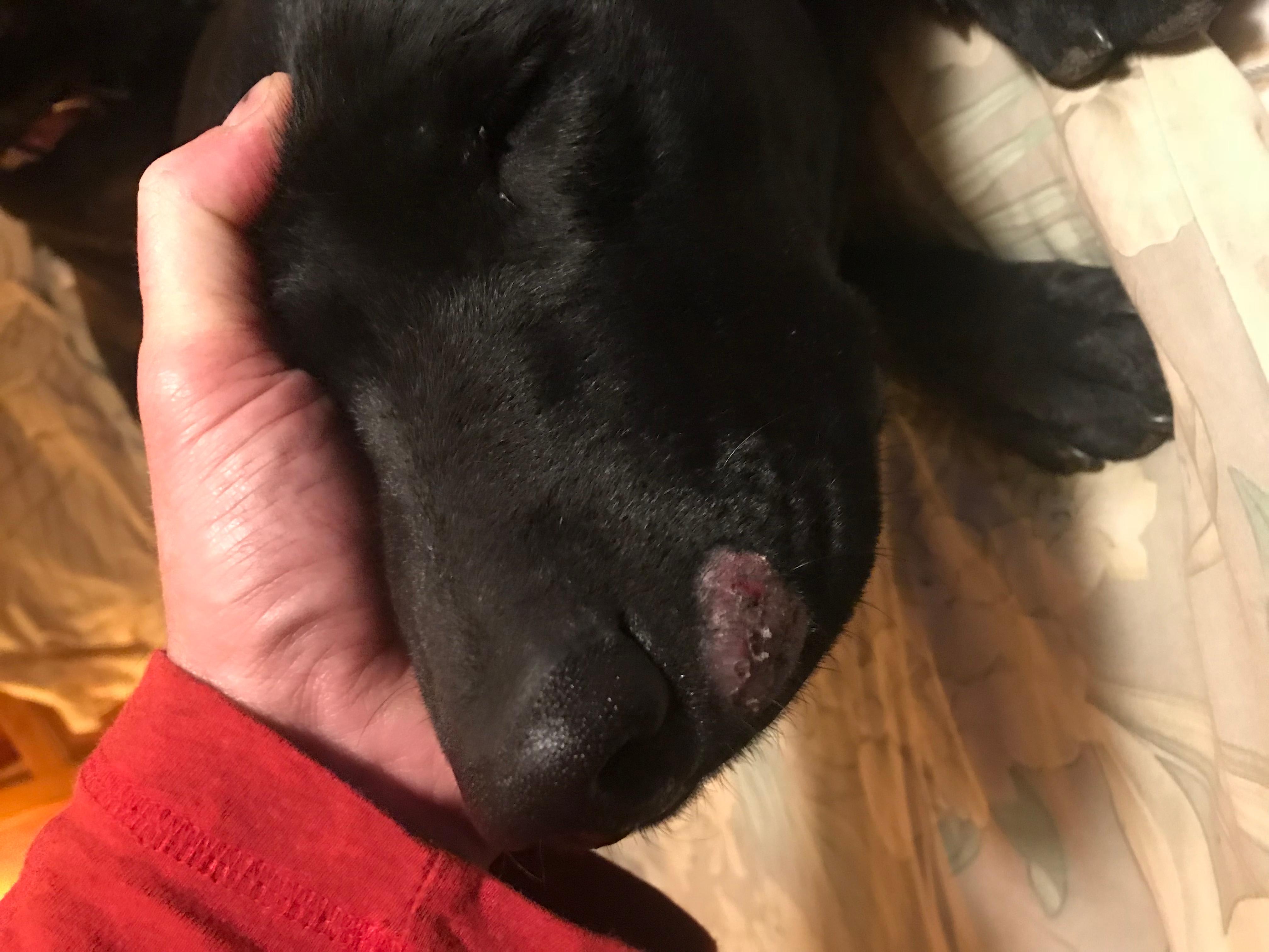 Question details sensitive content