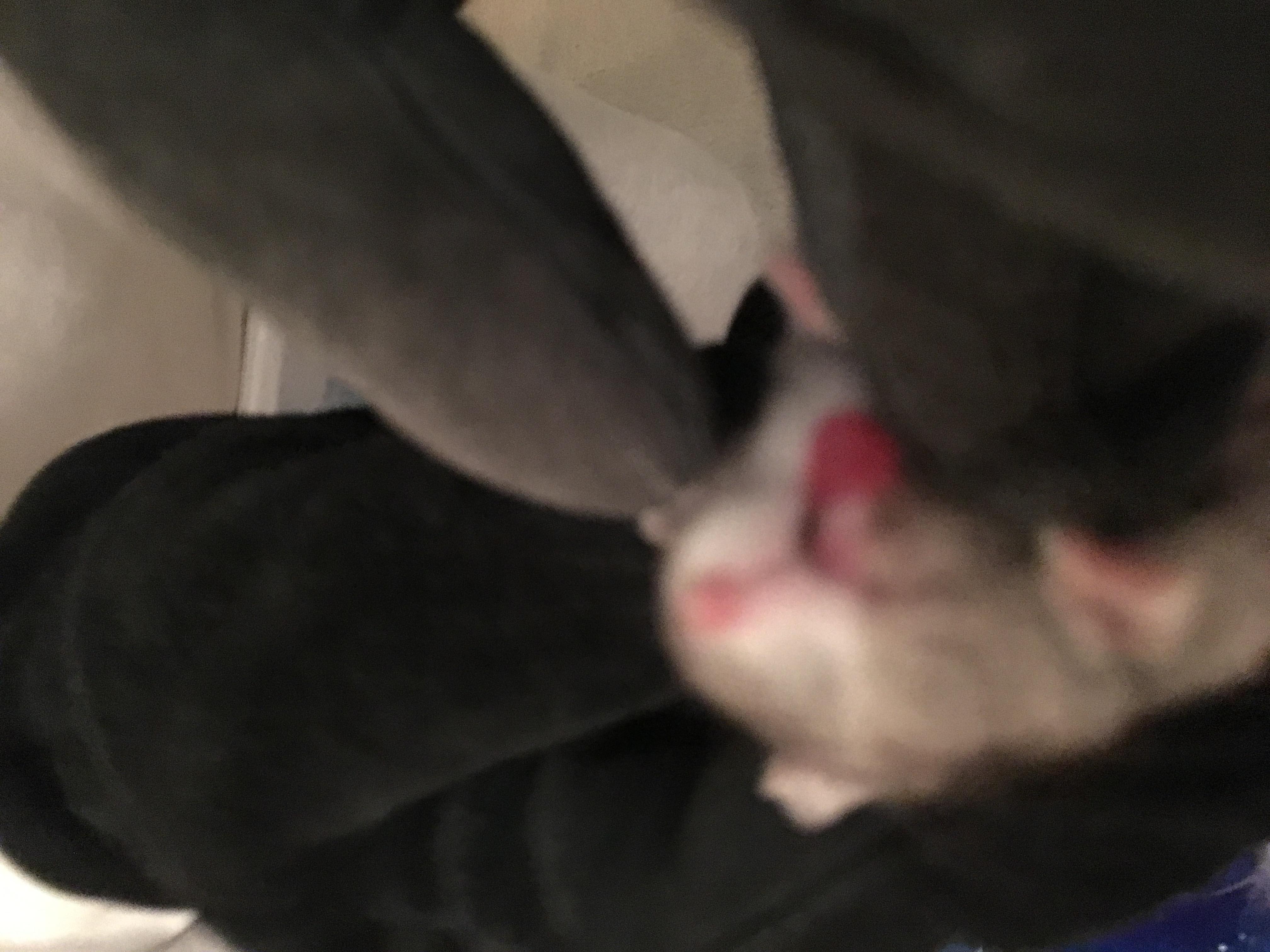 Question details sensitive content